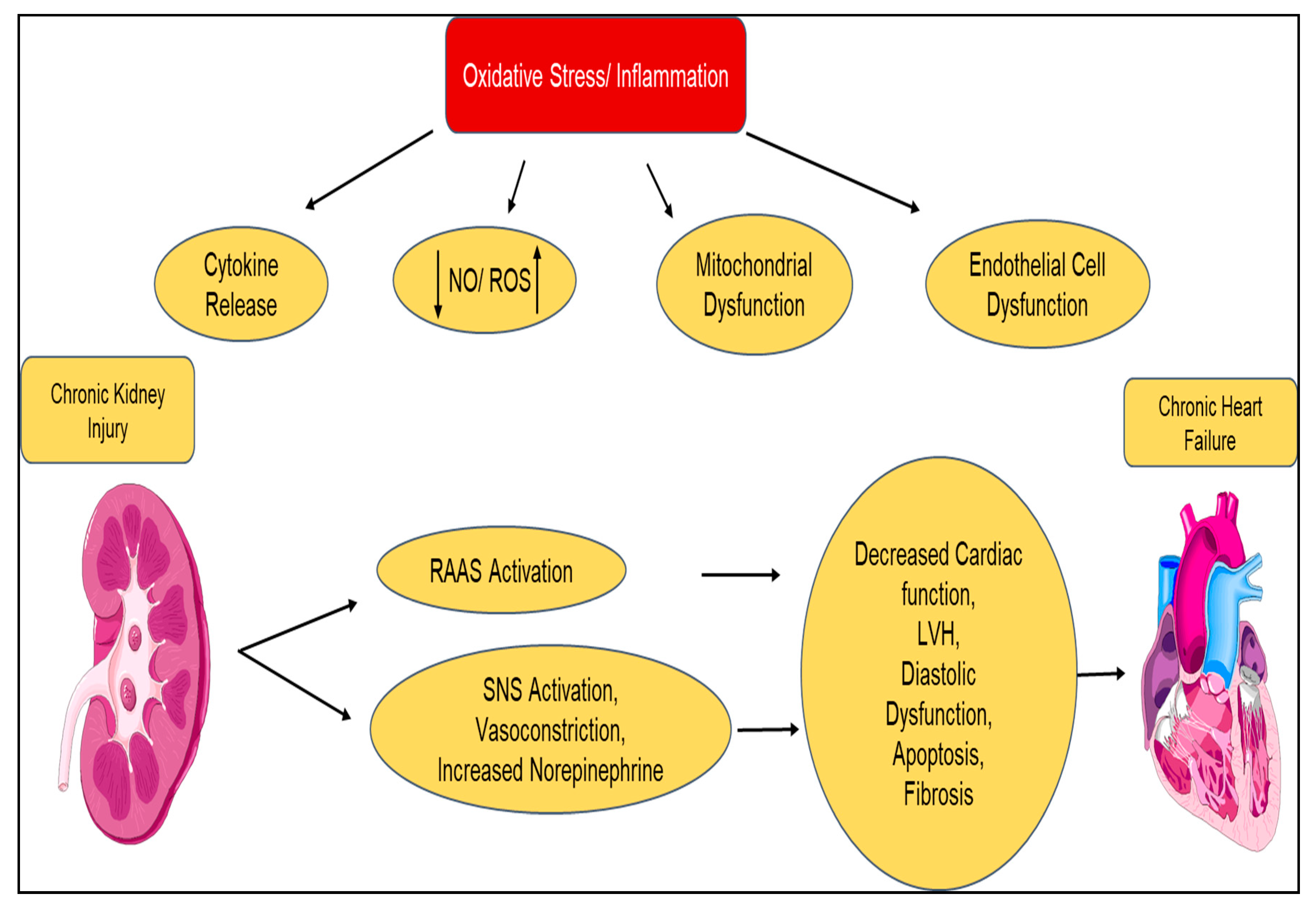 Diagnostics 10 00976 g005 Diagnostics 10 00976 g005