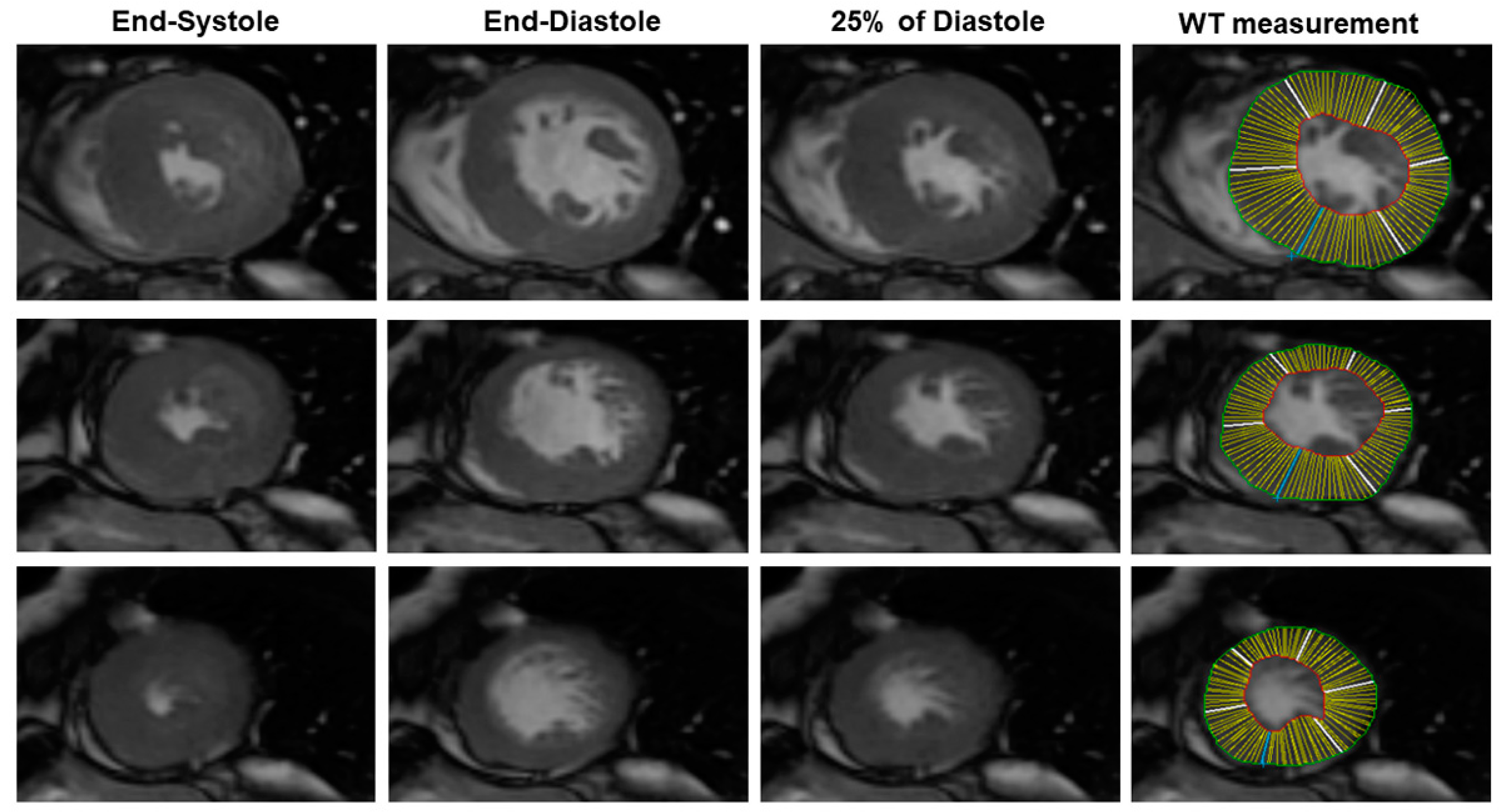 Diagnostics 10 00981 g001
