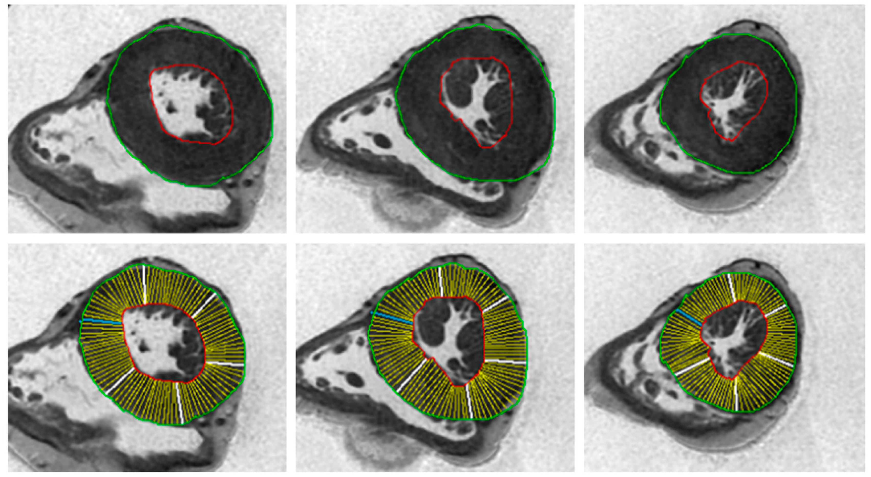 Diagnostics 10 00981 g002