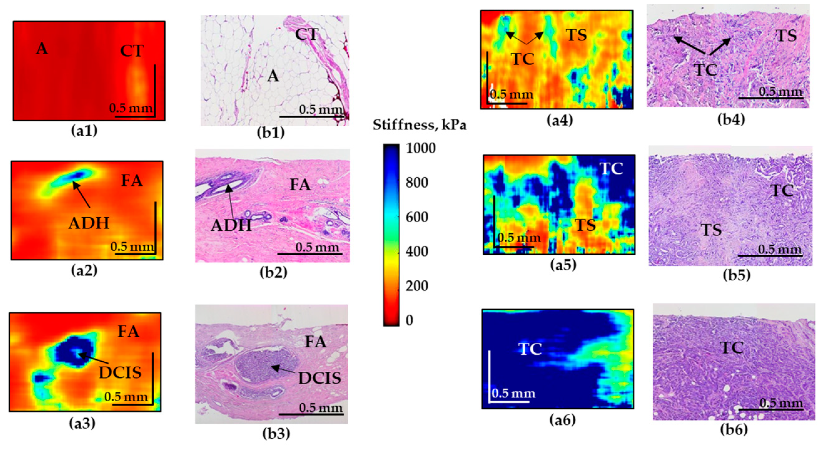 Diagnostics 10 00994 g002 Diagnostics 10 00994 g002