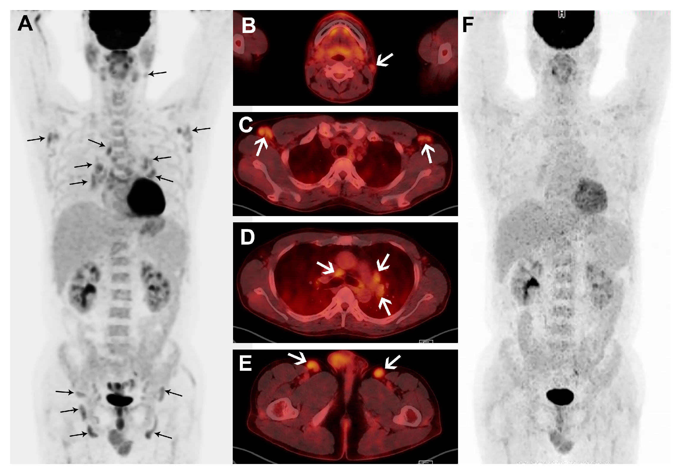 Diagnostics 10 00998 g003