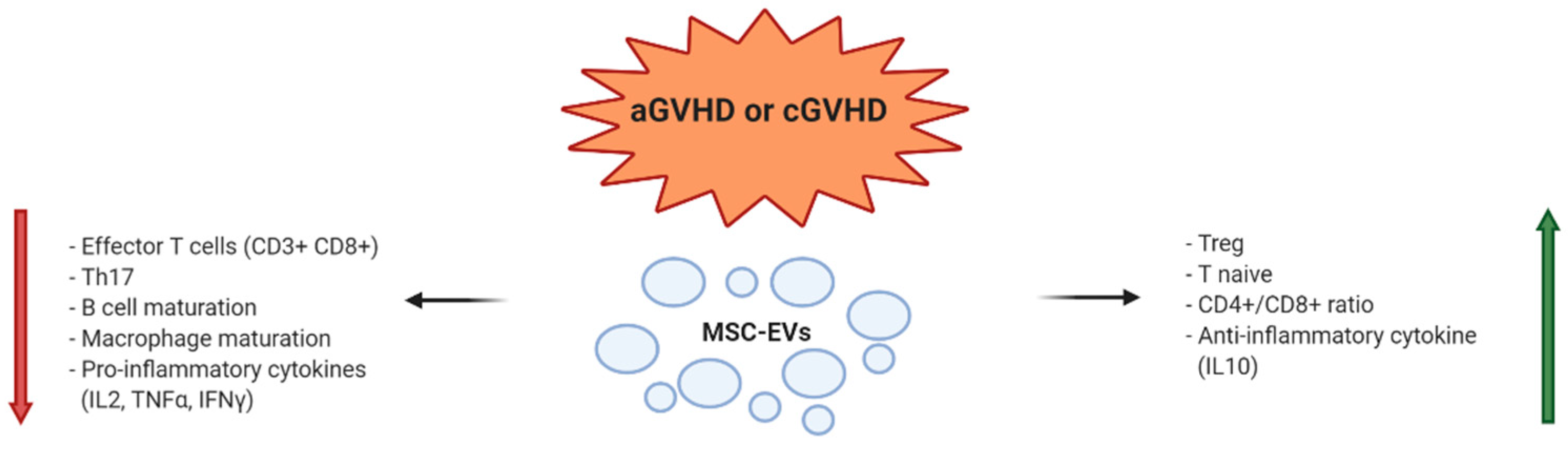 Diagnostics 10 00999 g001