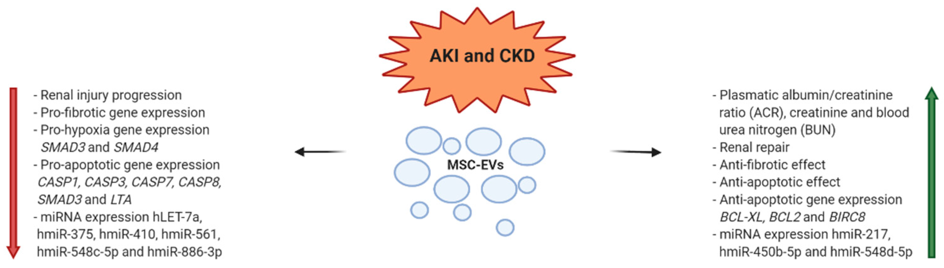 Diagnostics 10 00999 g002