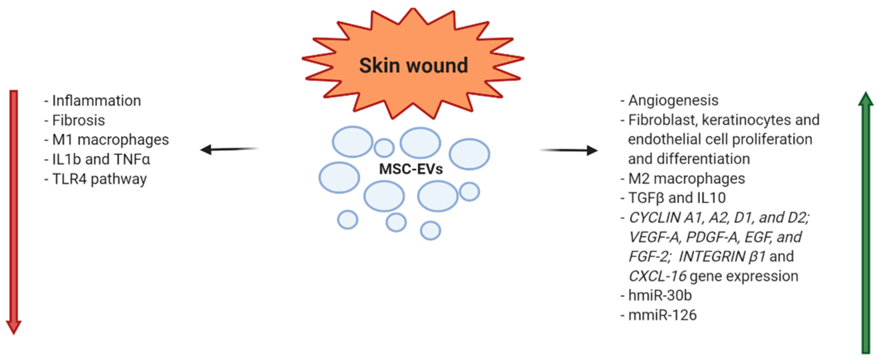 Diagnostics 10 00999 g004