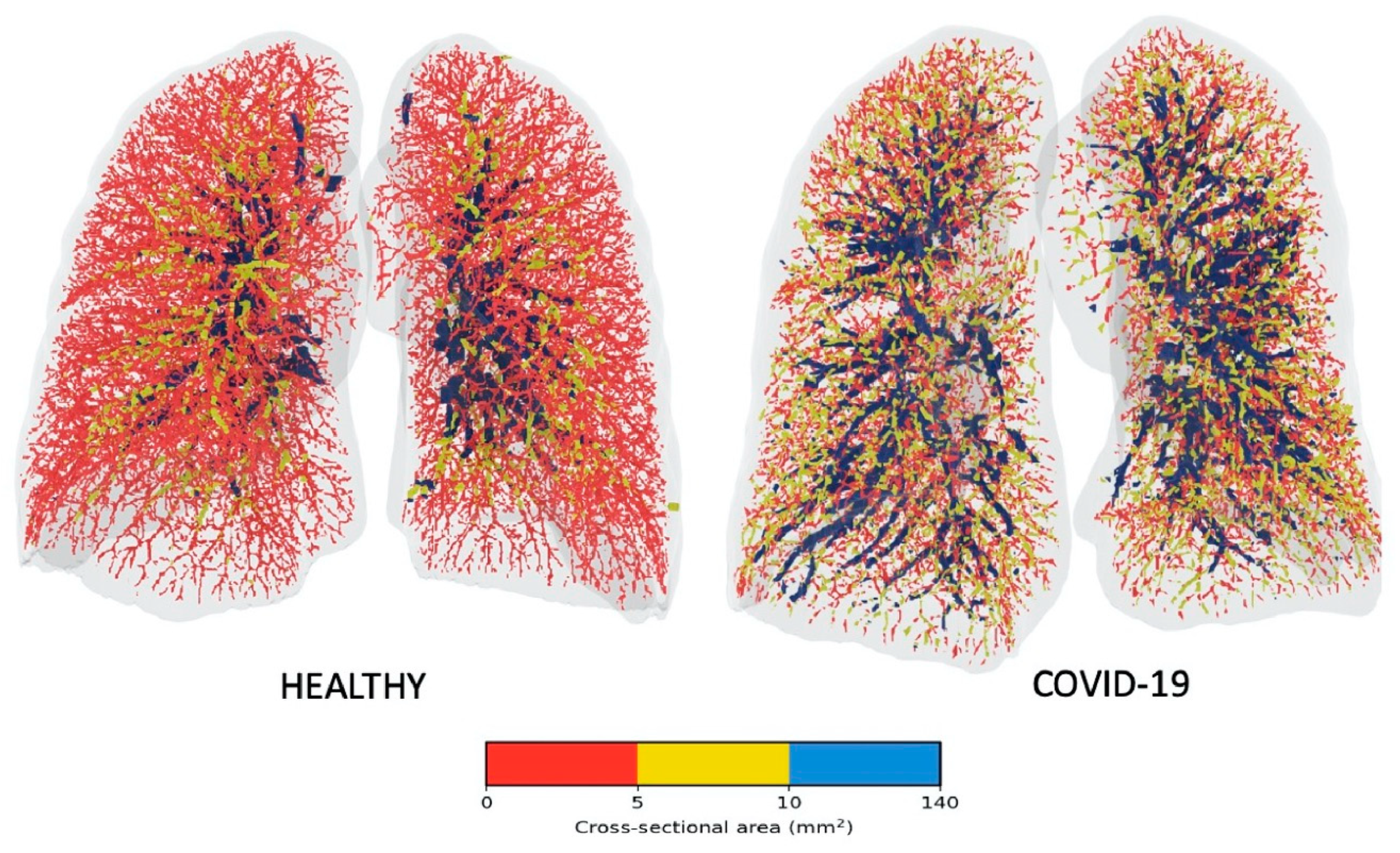 Diagnostics 10 01004 g002