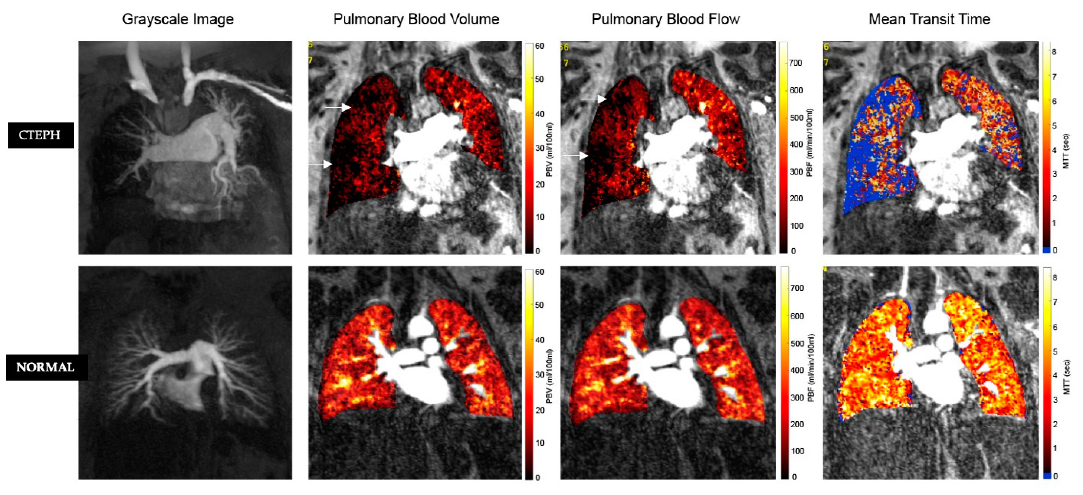 Diagnostics 10 01004 g007