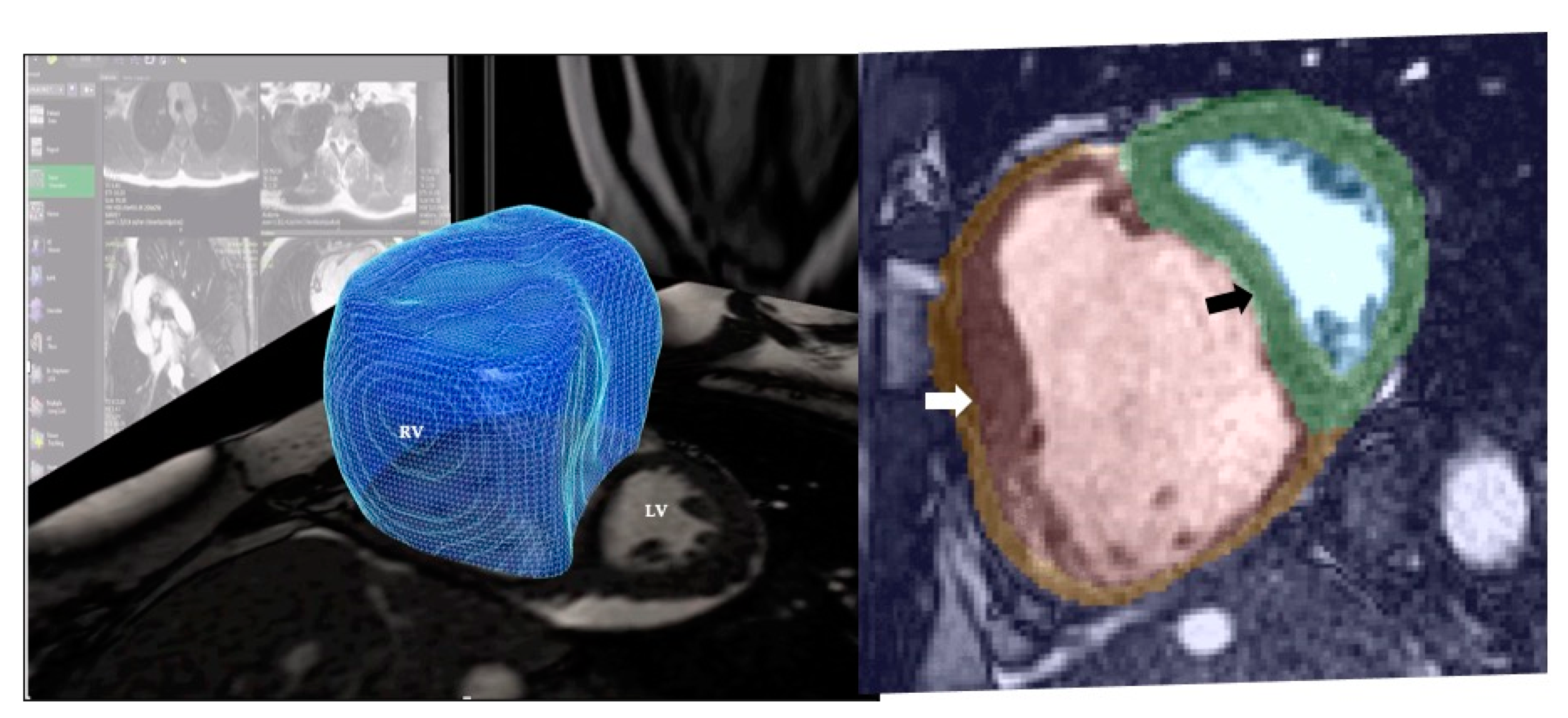 Diagnostics 10 01004 g011