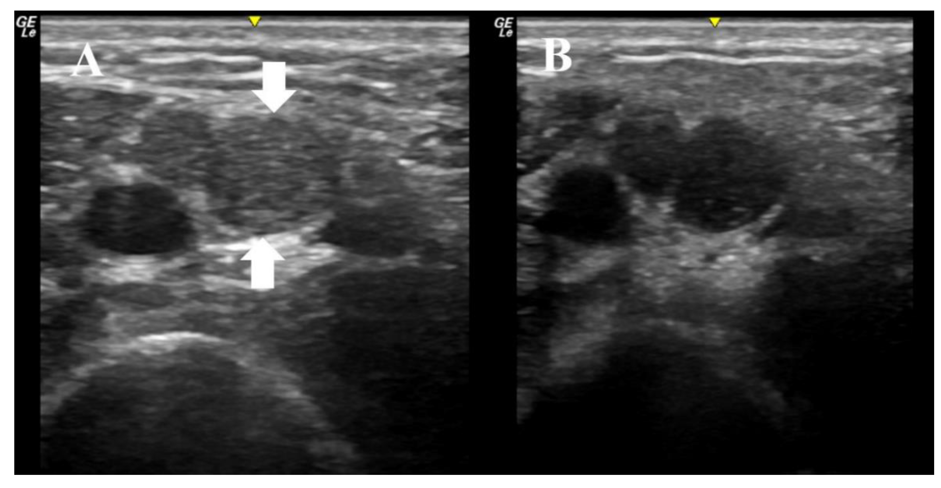 Diagnostics 10 01012 g001