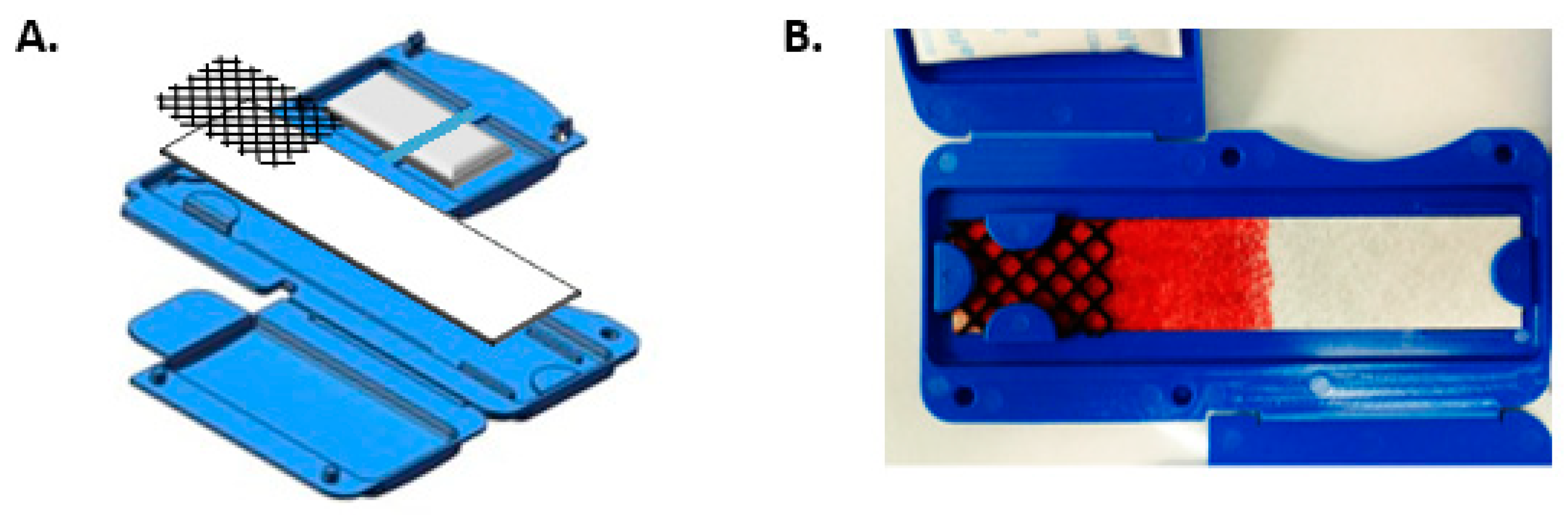 Diagnostics 10 01032 g001