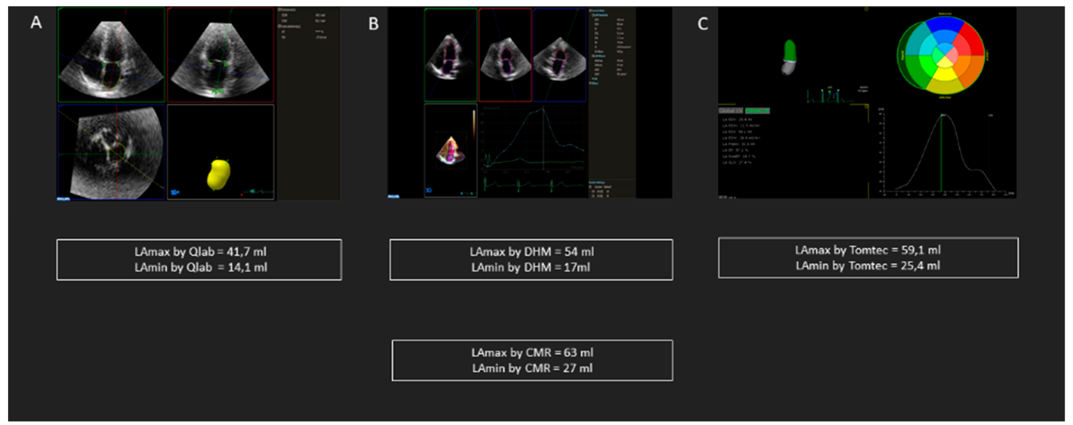 Diagnostics 10 01043 g002 Diagnostics 10 01043 g002