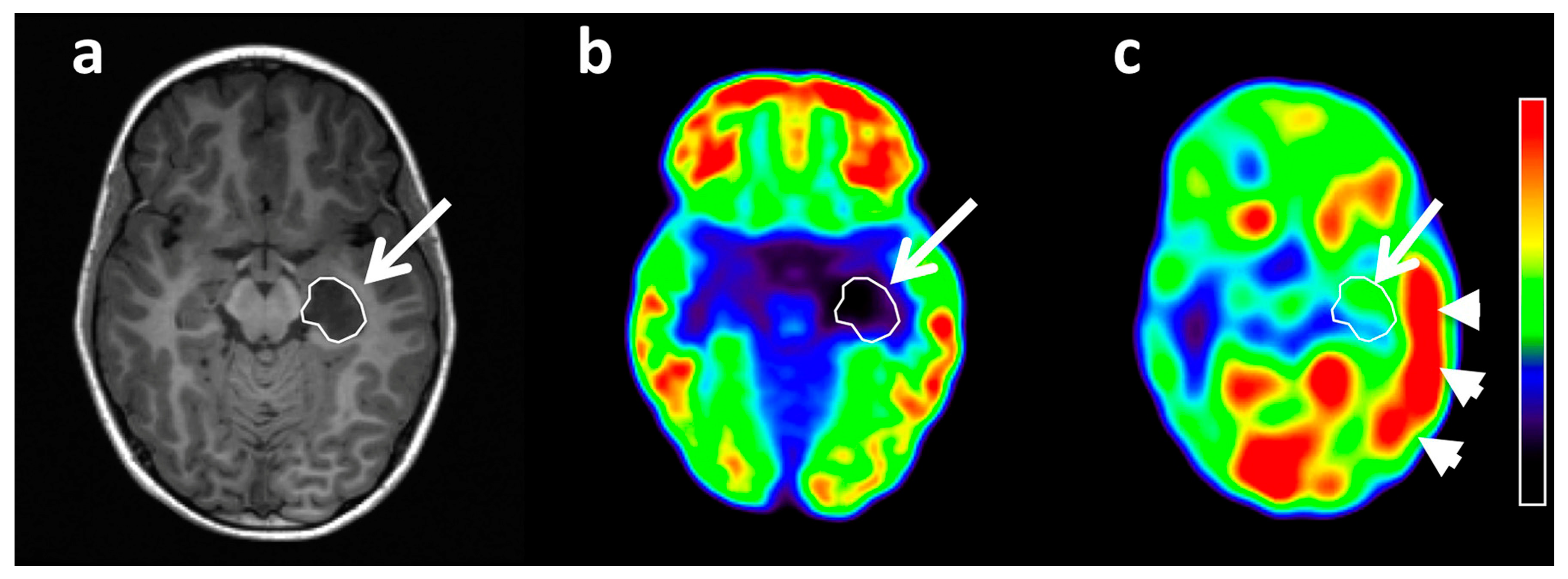 Diagnostics 10 01049 g002