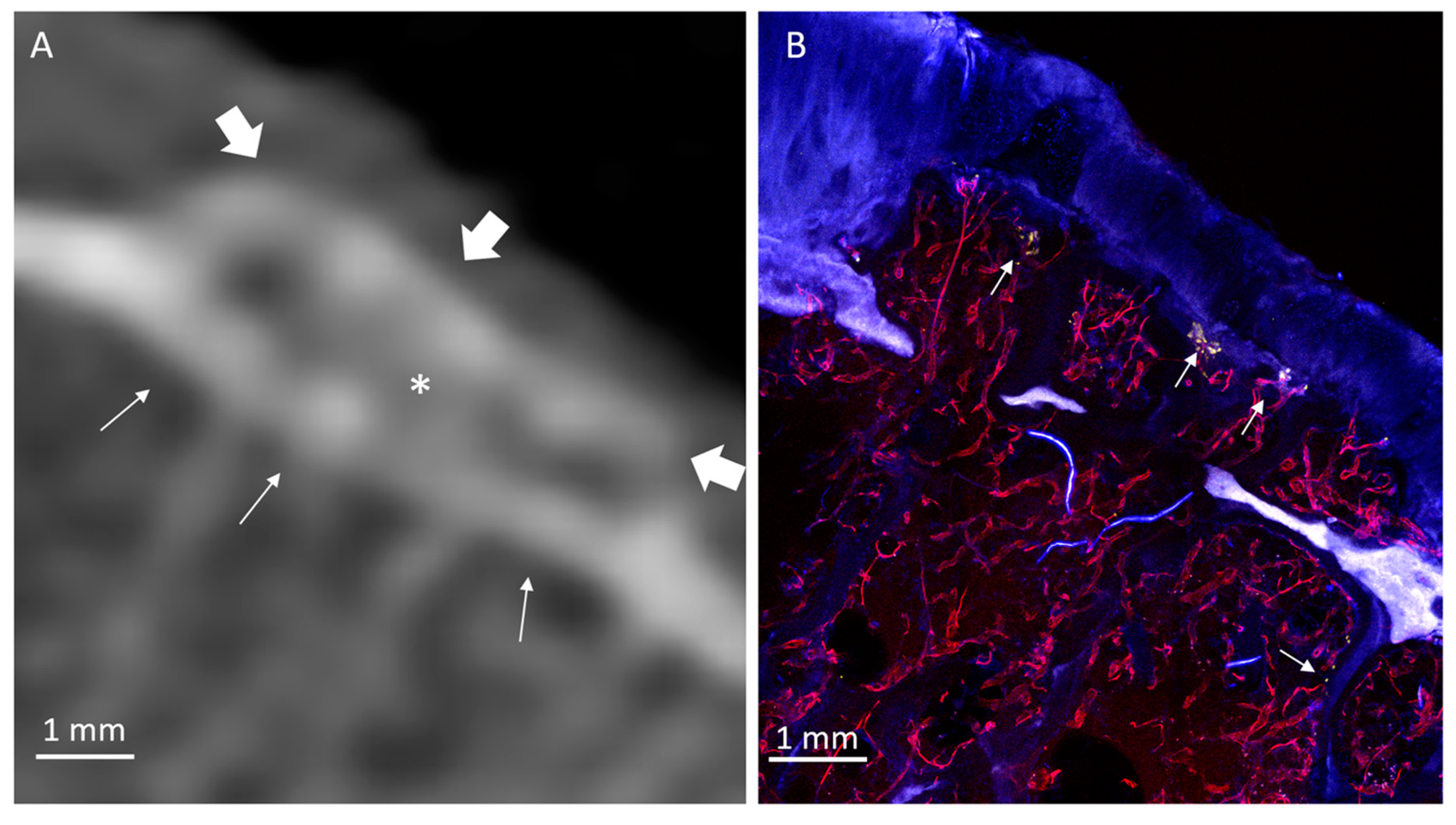 Diagnostics 10 01051 g006