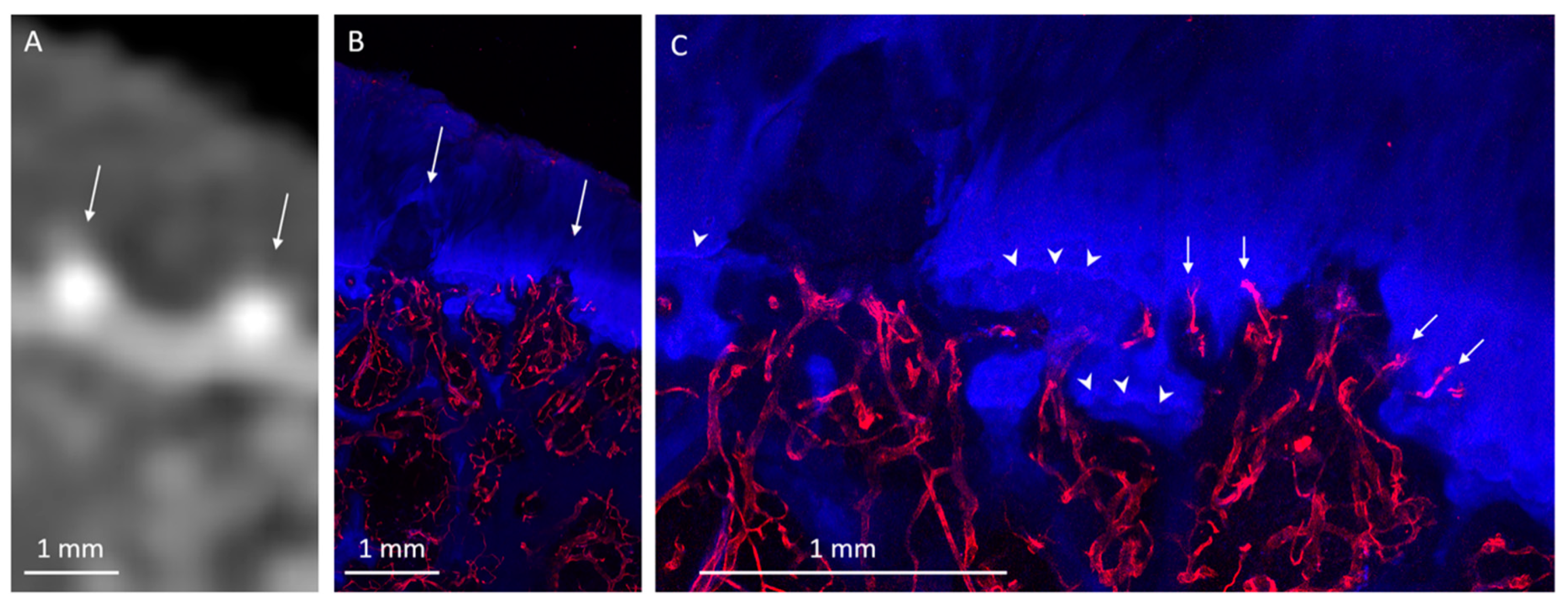 Diagnostics 10 01051 g008