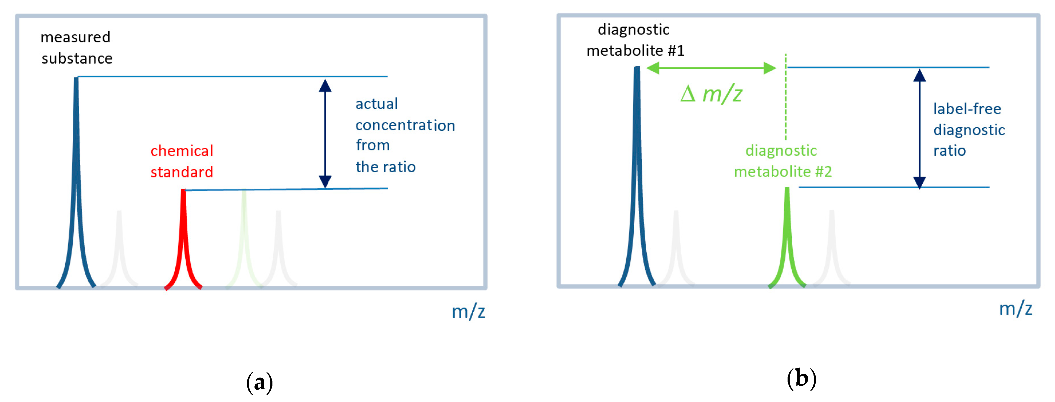 Diagnostics 10 01052 g001