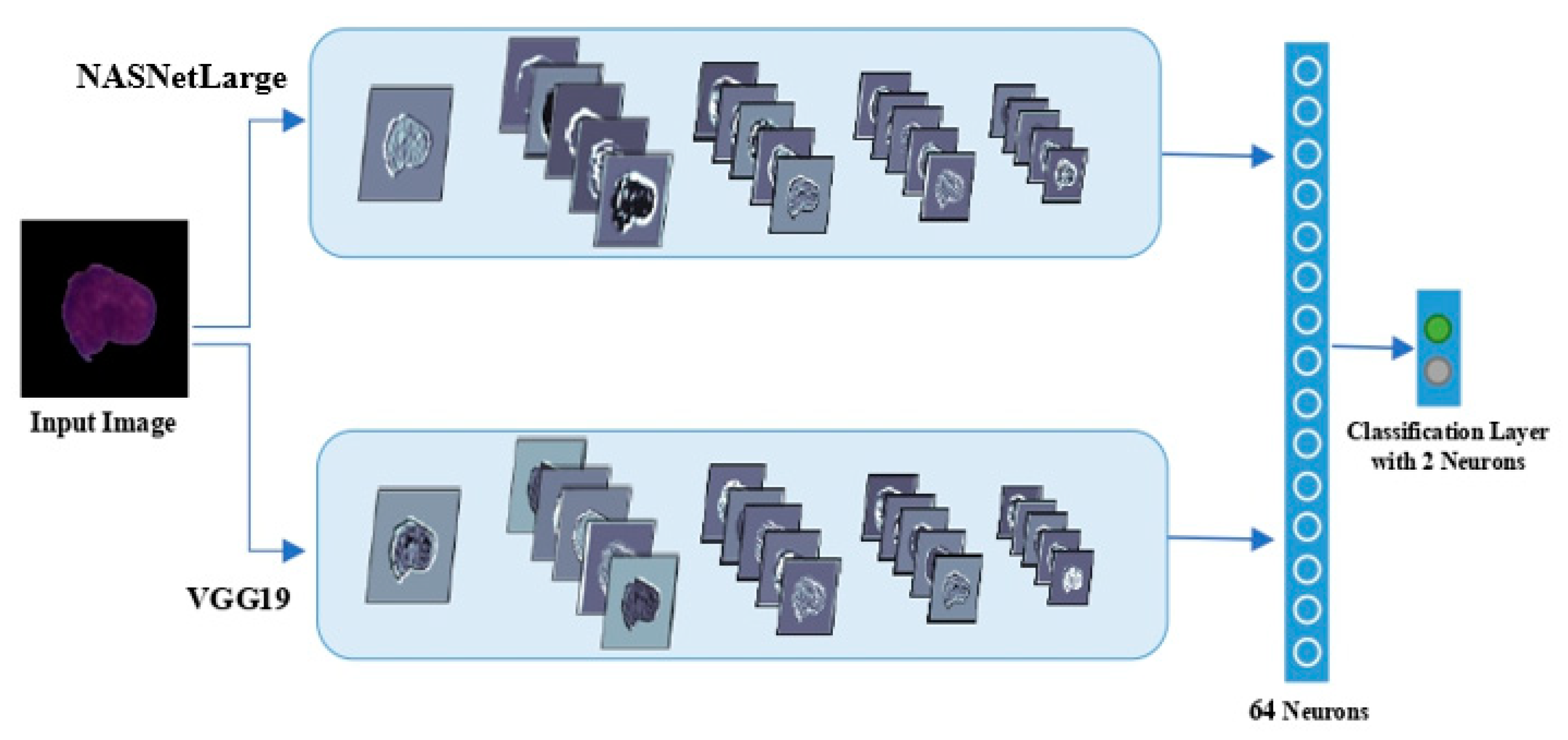 Diagnostics 10 01064 g003 Diagnostics 10 01064 g003
