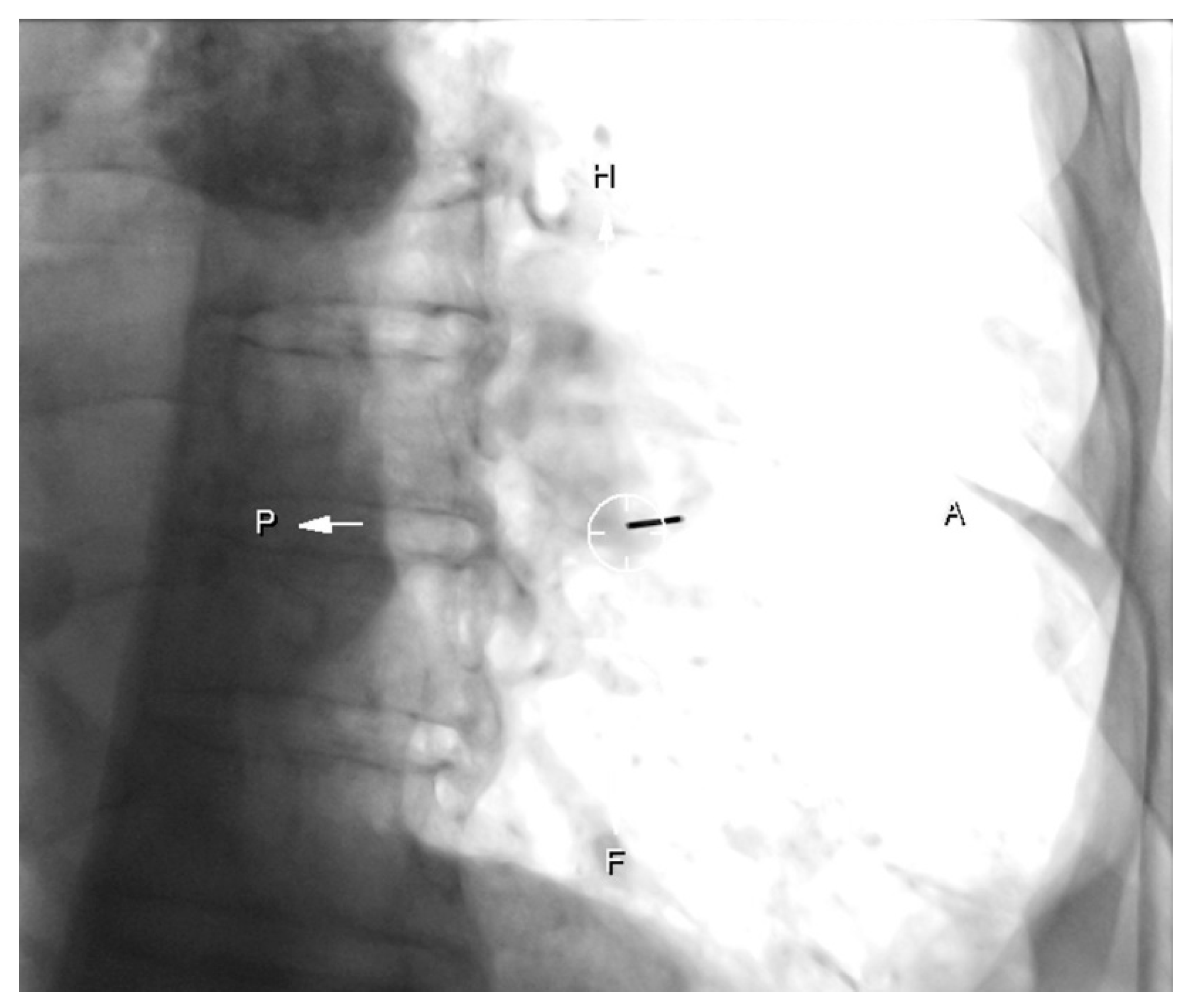 Diagnostics 10 01068 g001 Diagnostics 10 01068 g001