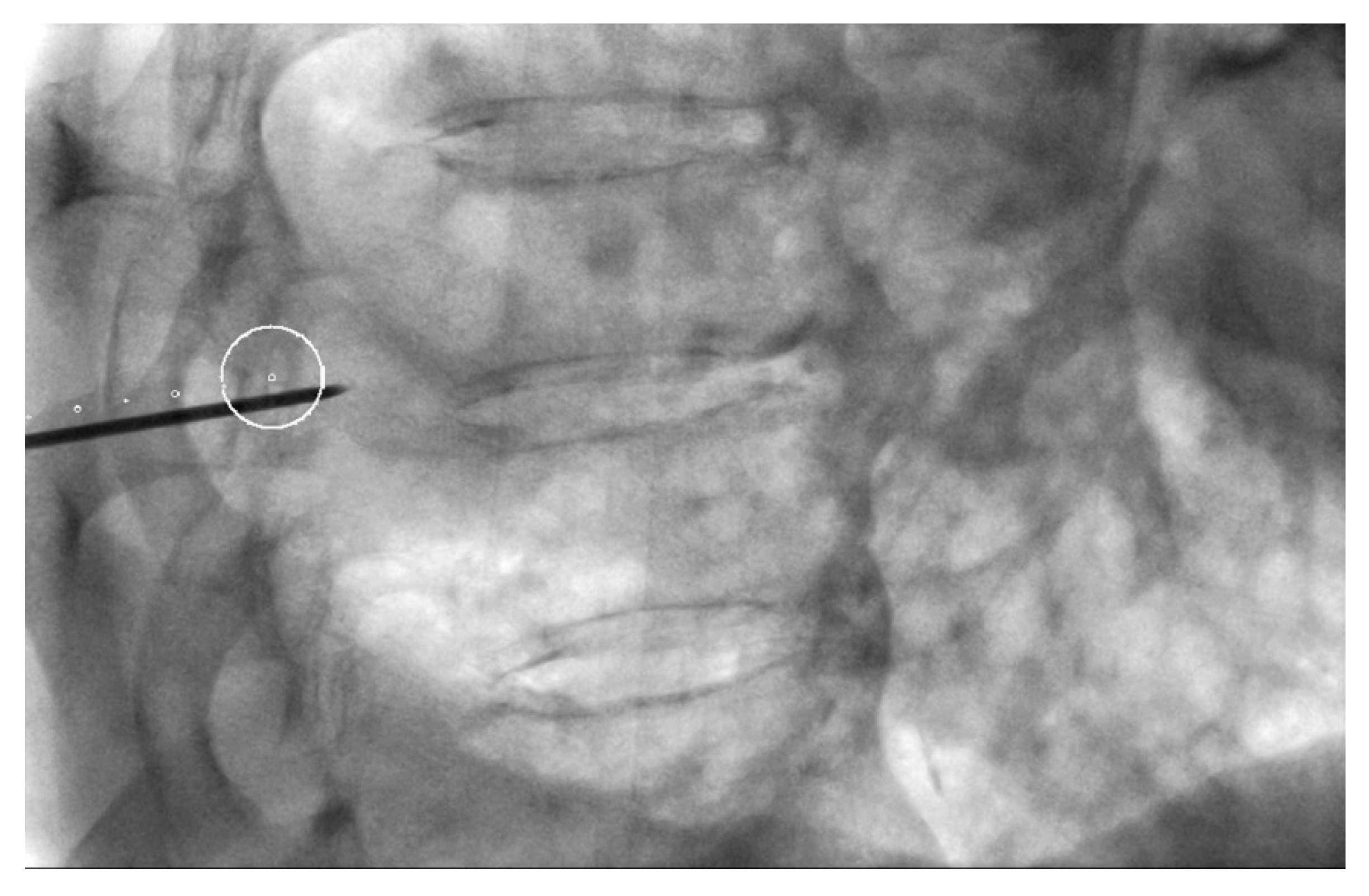 Diagnostics 10 01068 g002 Diagnostics 10 01068 g002