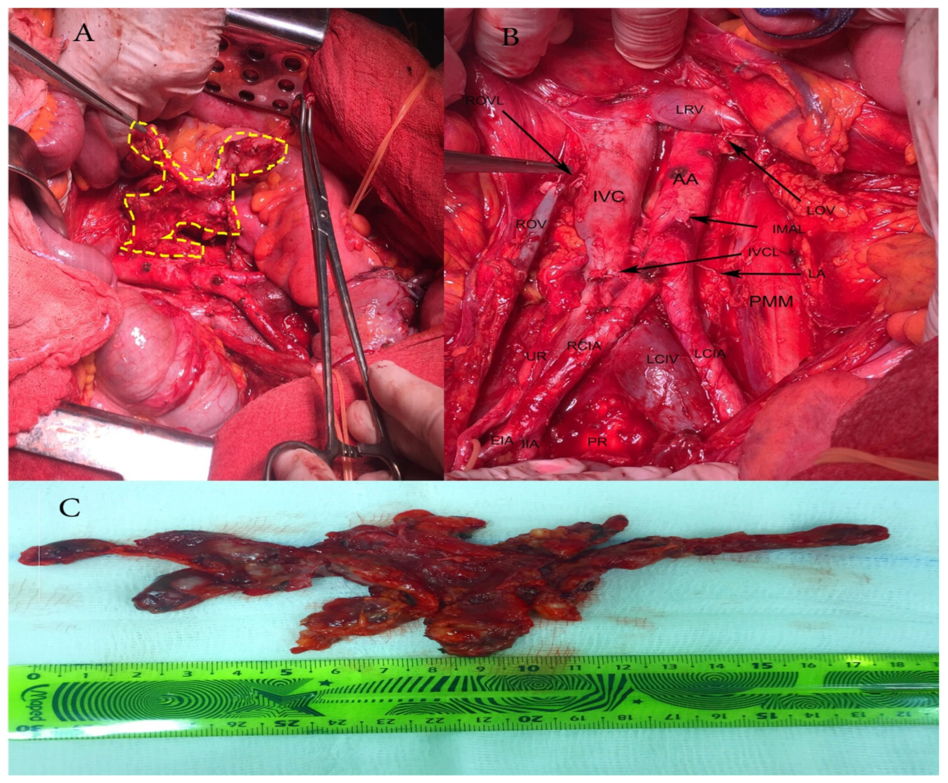 Diagnostics 10 01073 g001