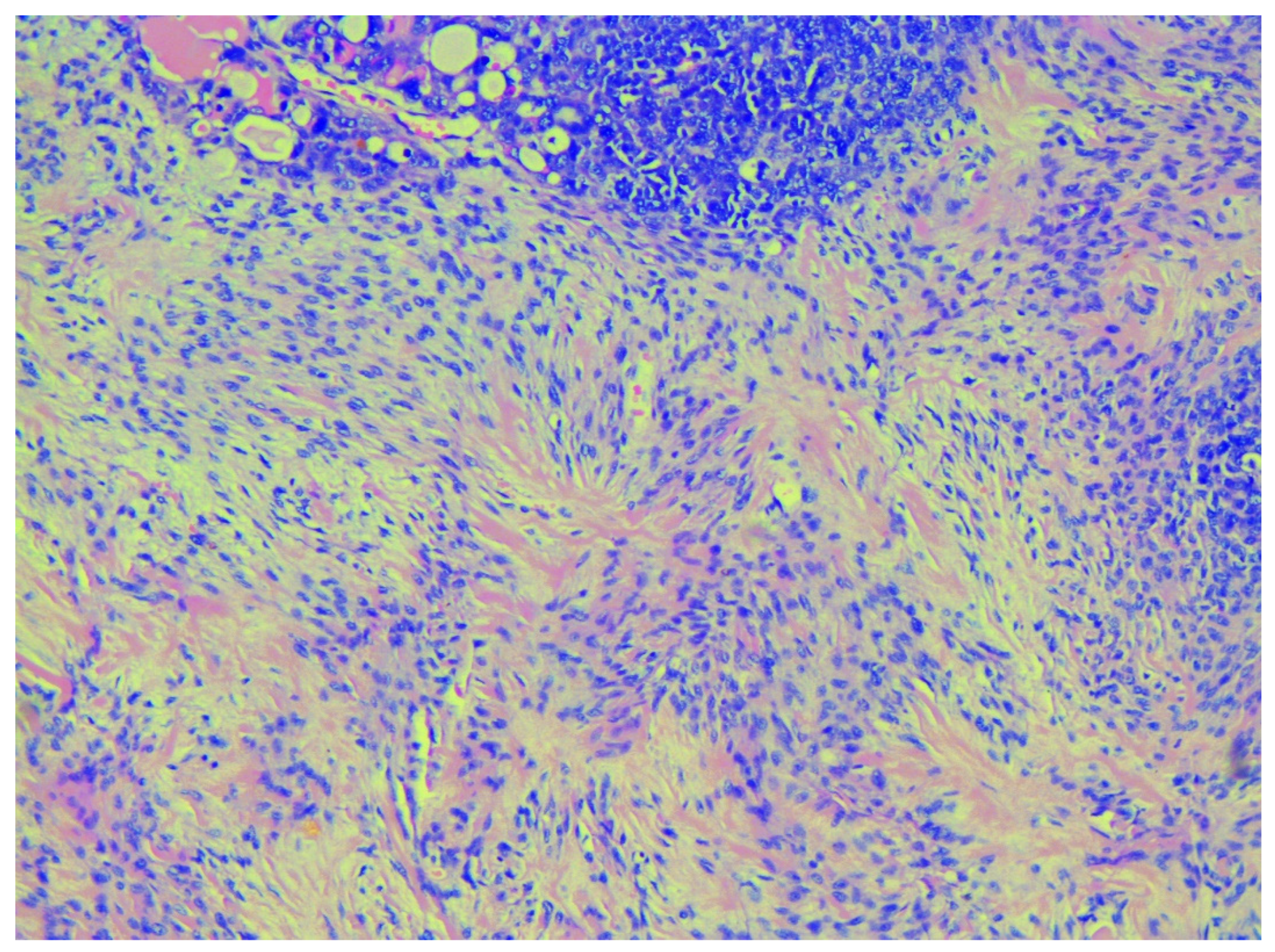 Diagnostics 10 01073 g003