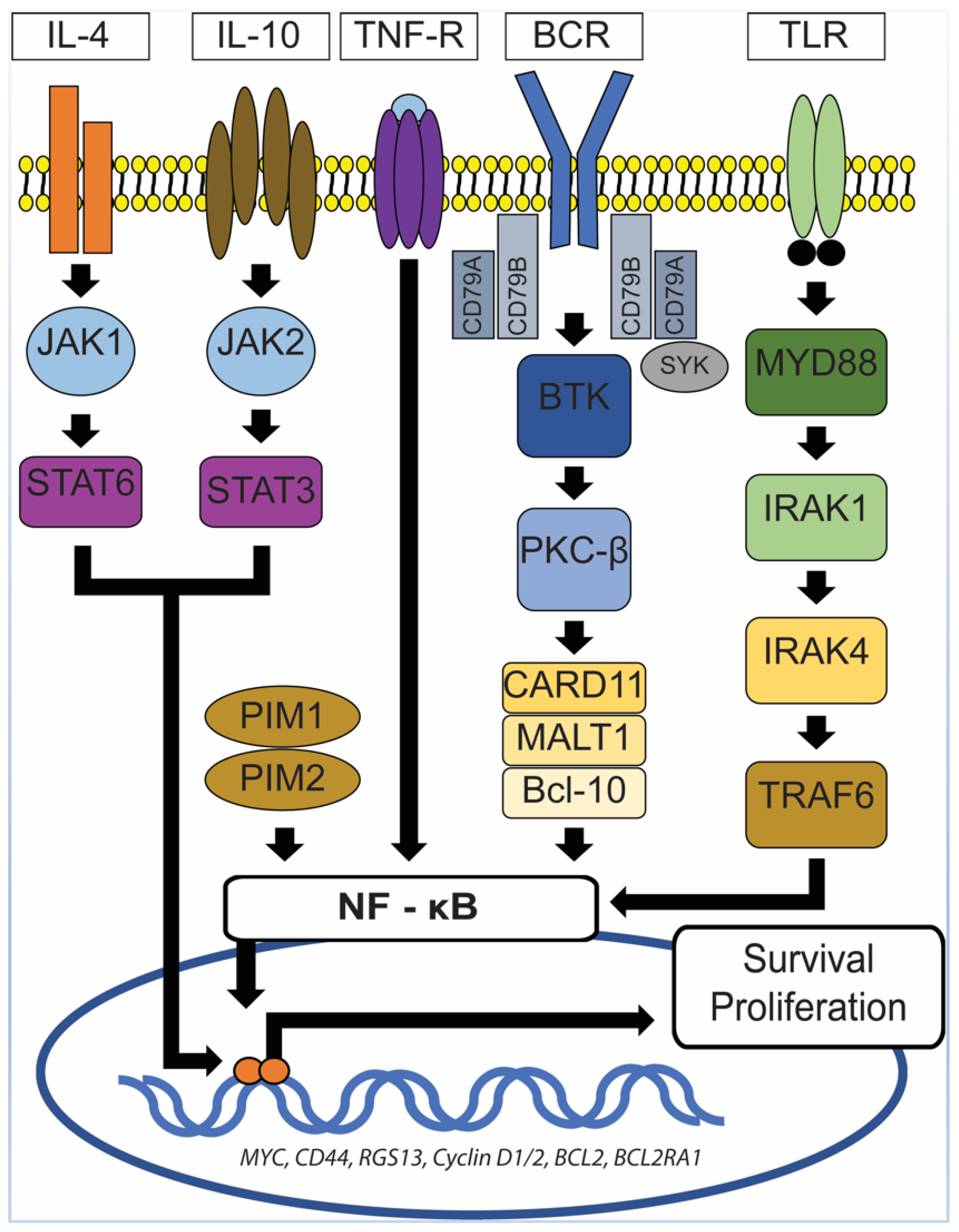 Diagnostics 10 01076 g005 Diagnostics 10 01076 g005