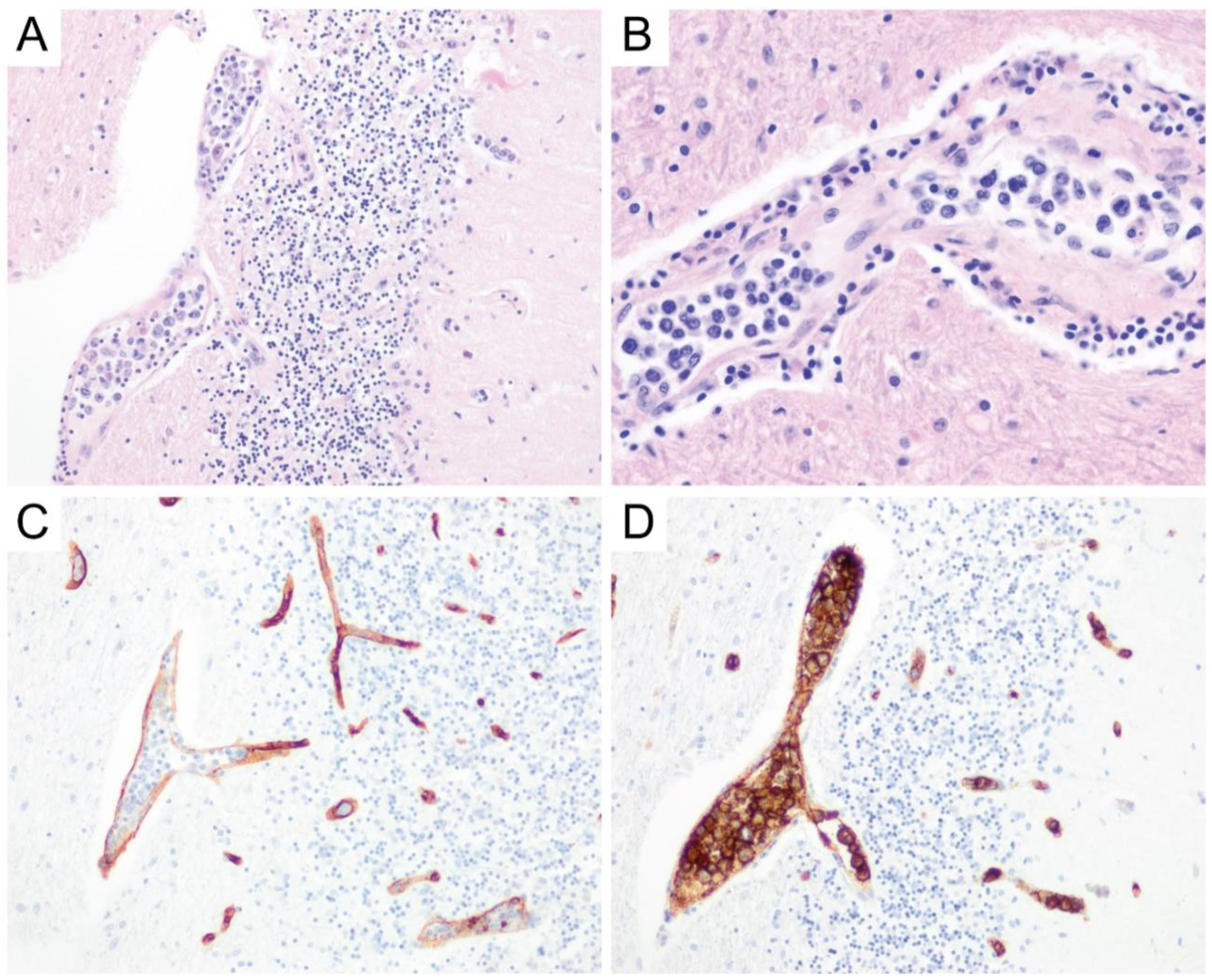 Diagnostics 10 01076 g006 Diagnostics 10 01076 g006