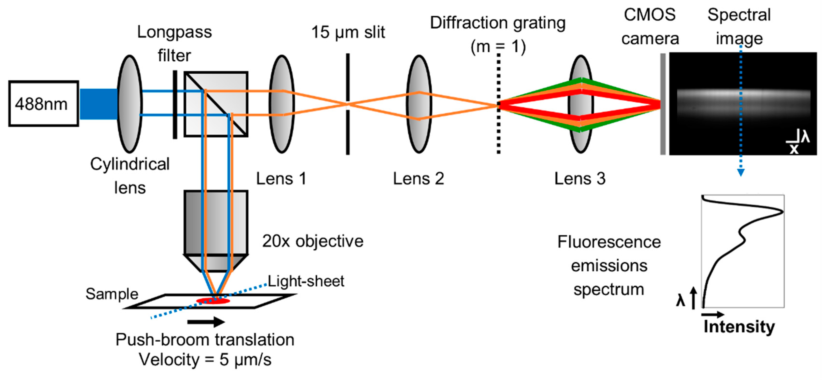 Diagnostics 10 01082 g001 Diagnostics 10 01082 g001