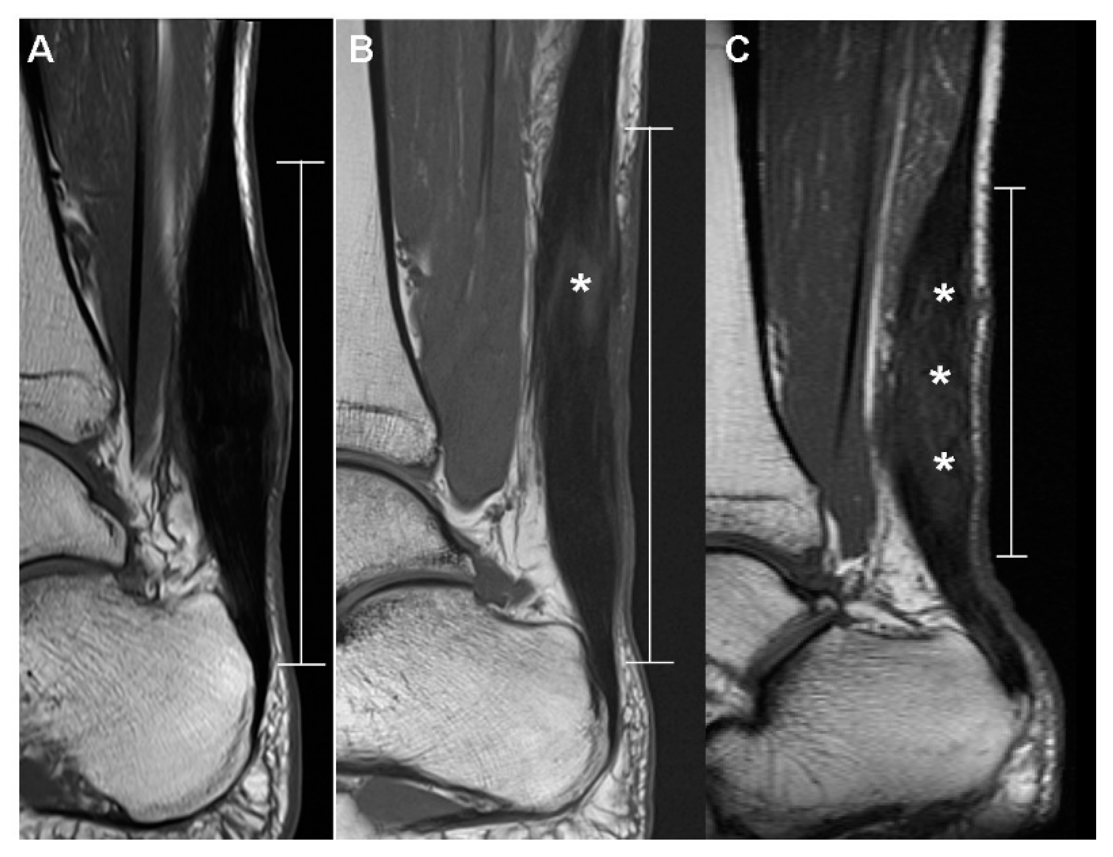 Diagnostics 10 01085 g002