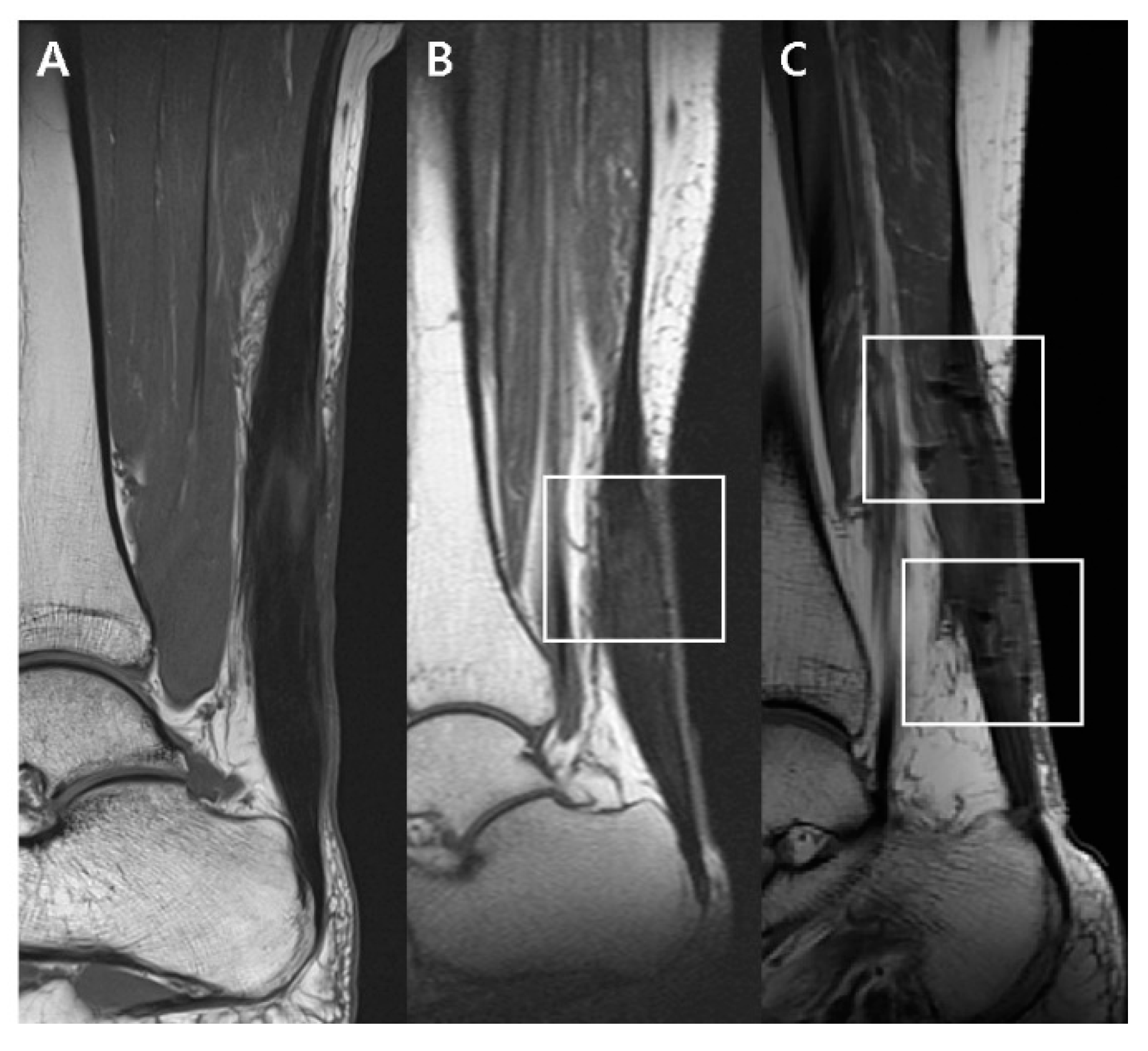 Diagnostics 10 01085 g003
