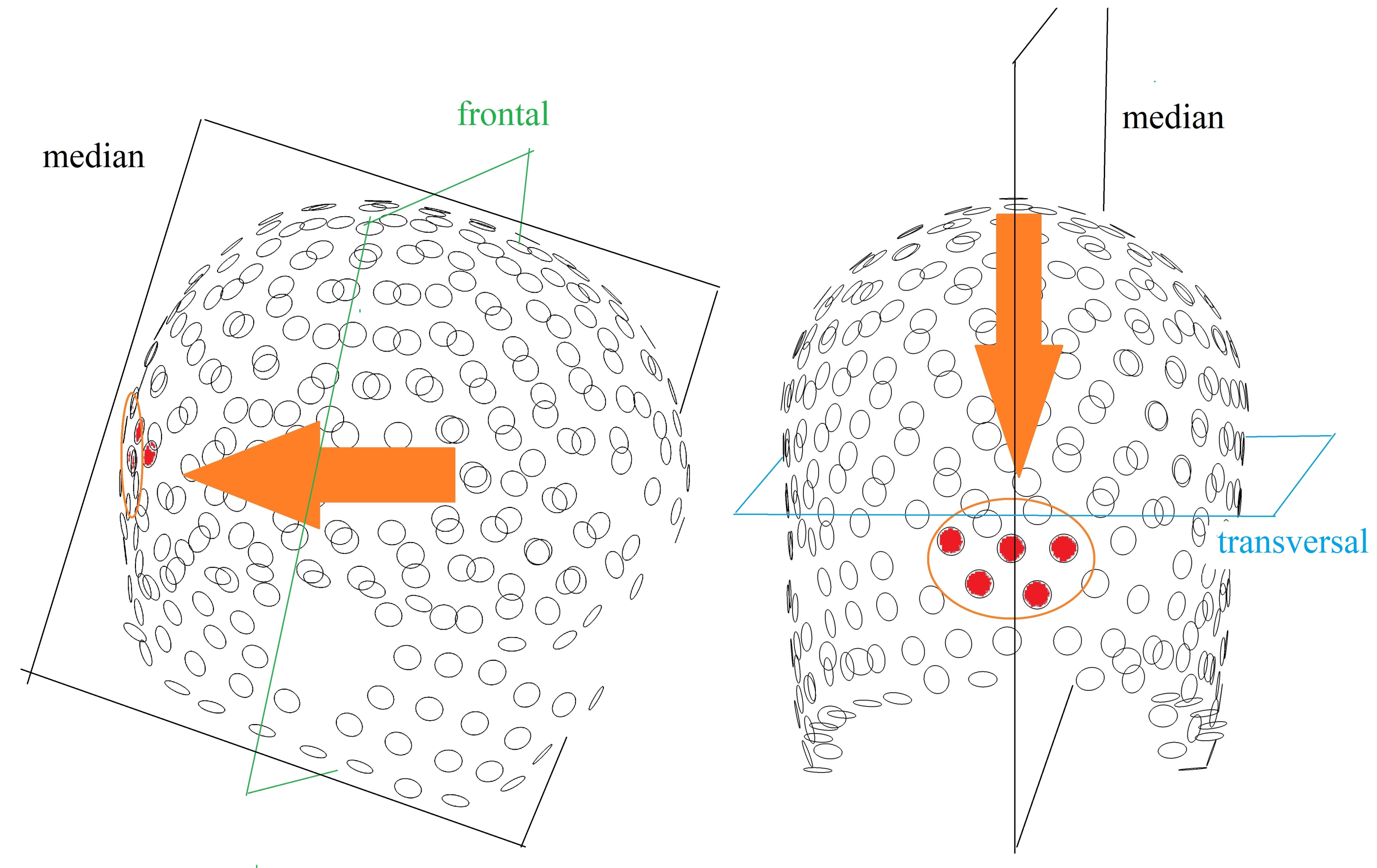 Diagnostics 10 01087 g003 Diagnostics 10 01087 g003