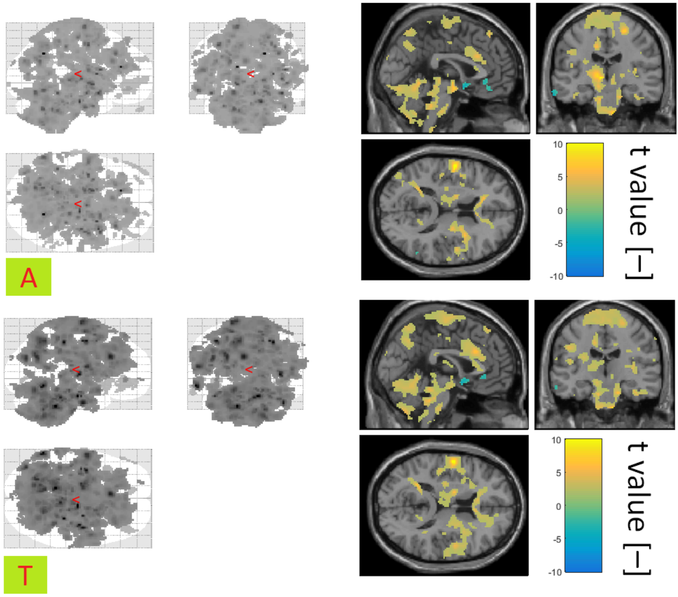 Diagnostics 10 01087 g008 Diagnostics 10 01087 g008