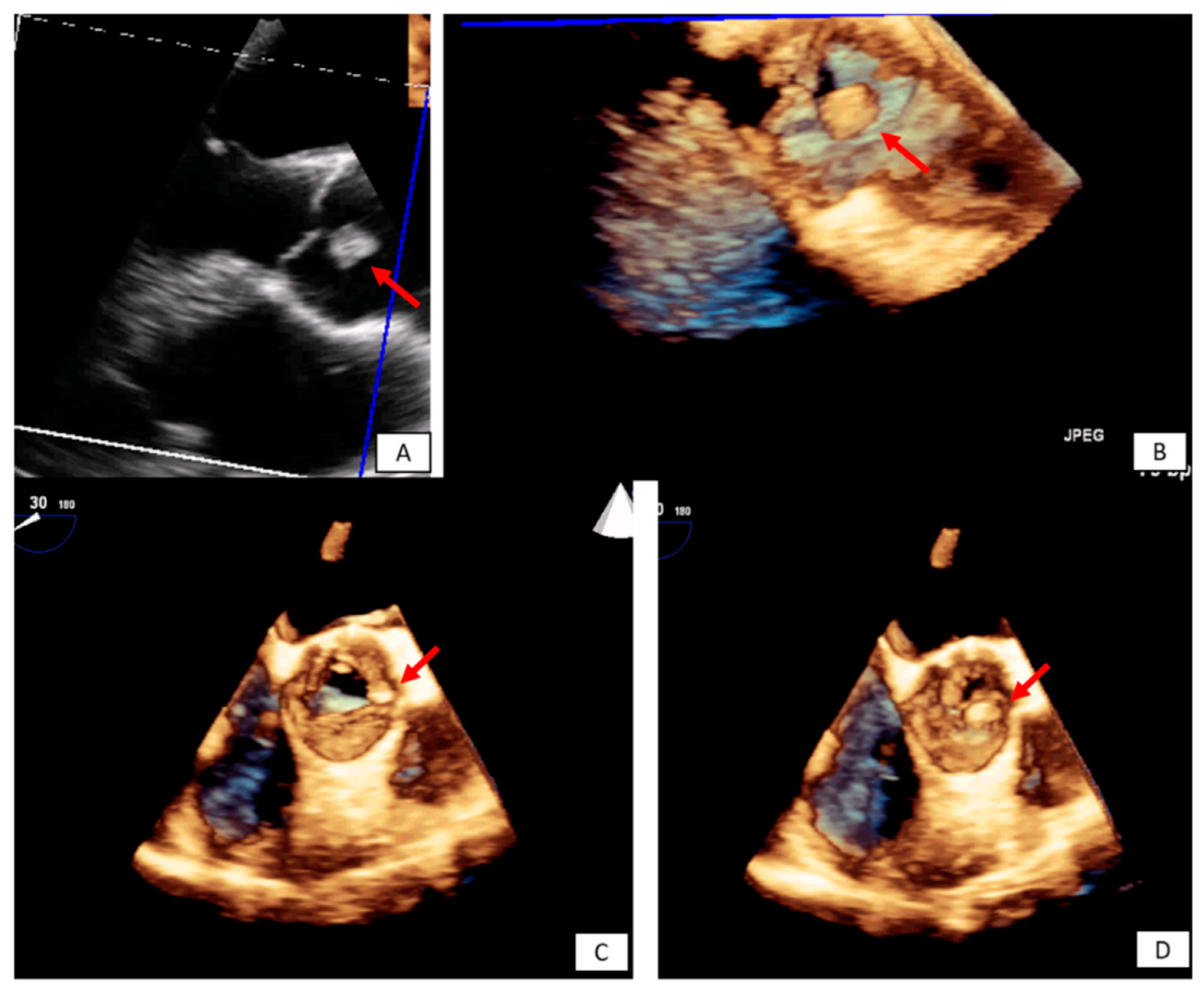 Diagnostics 10 01088 g005