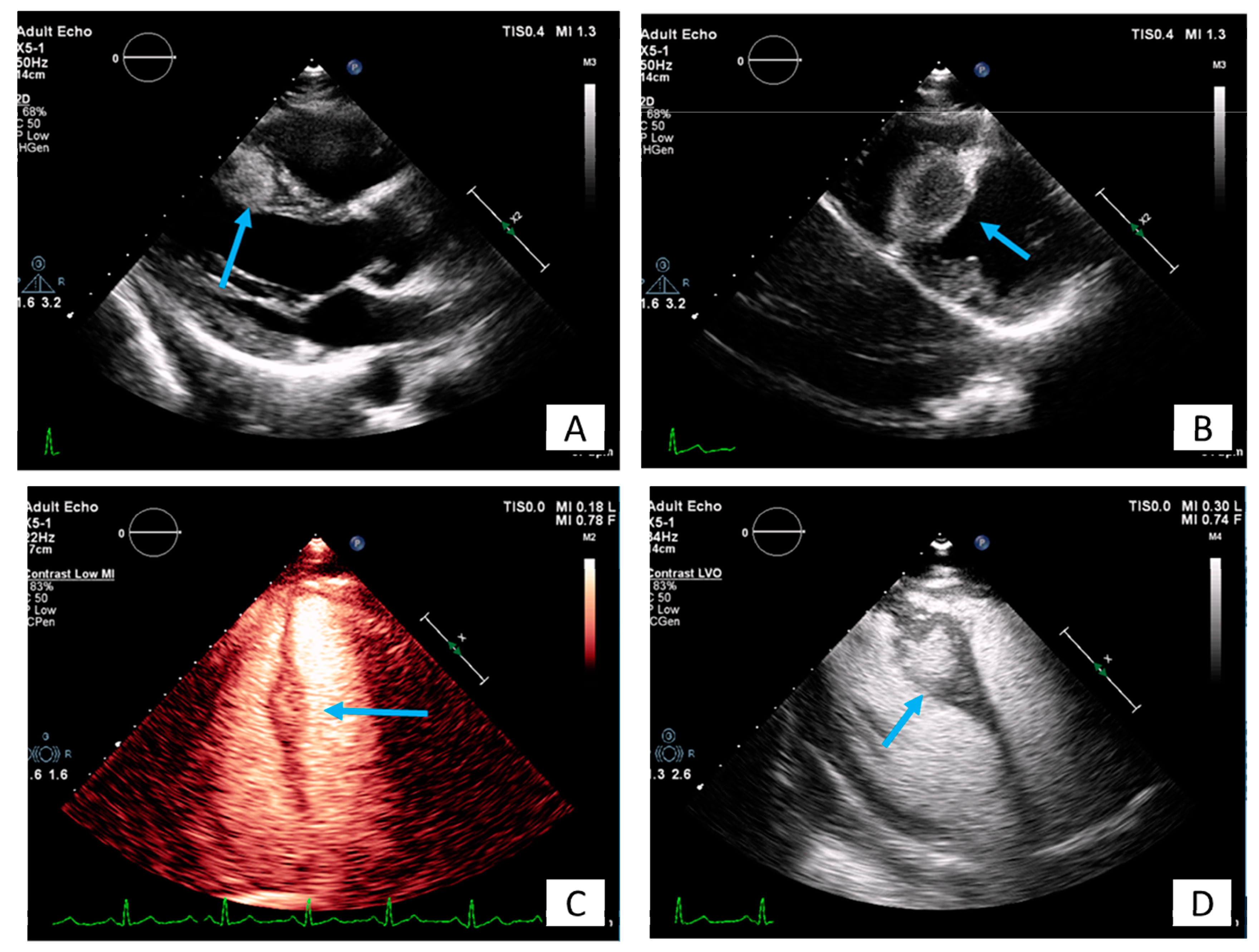 Diagnostics 10 01088 g007