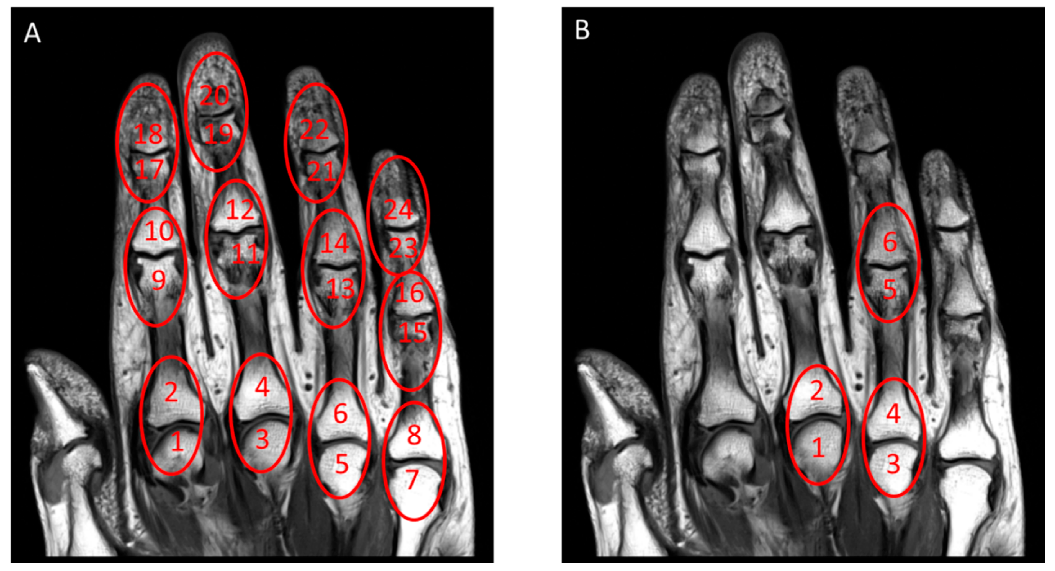 Diagnostics 10 01093 g001