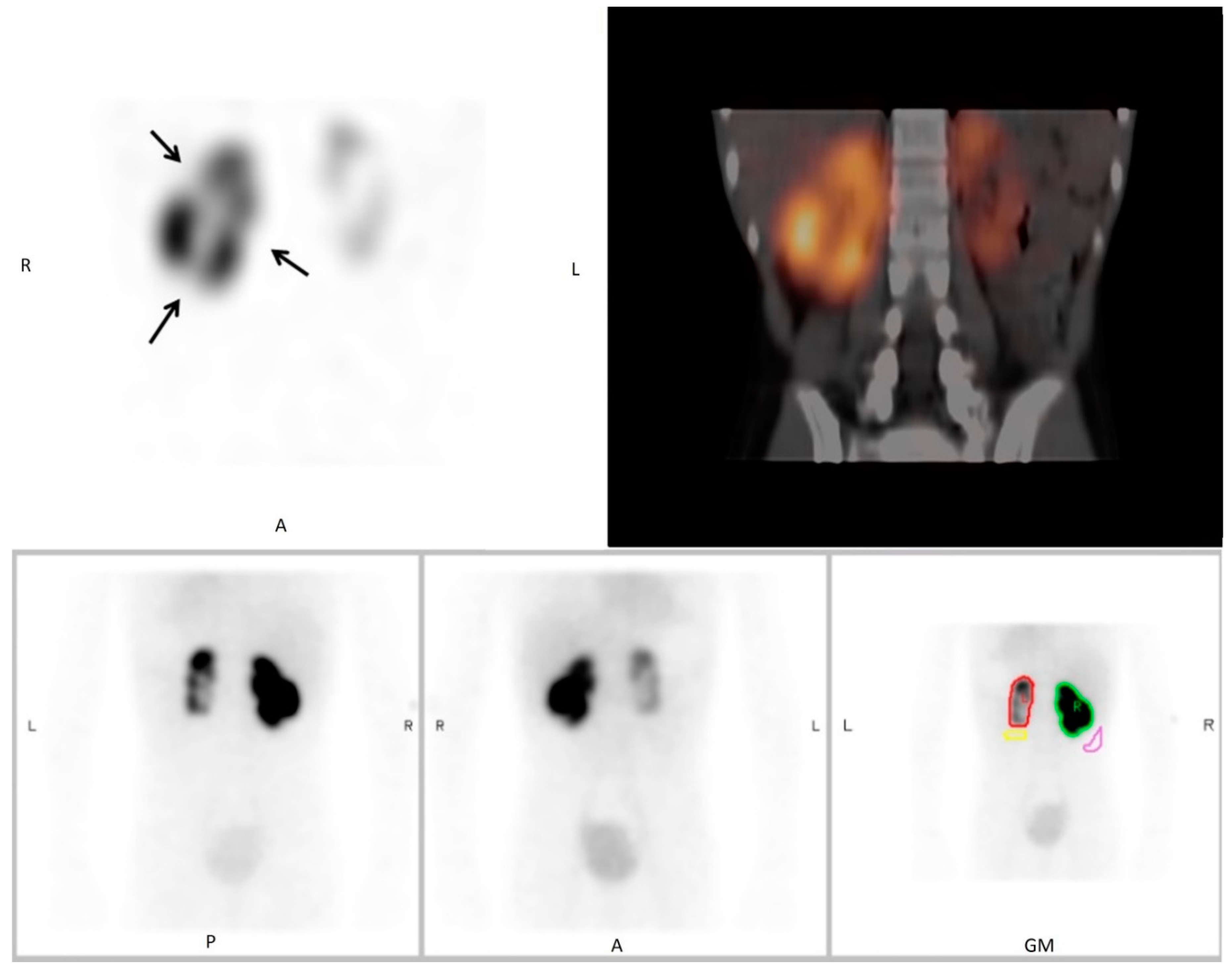 Diagnostics 10 01101 g002