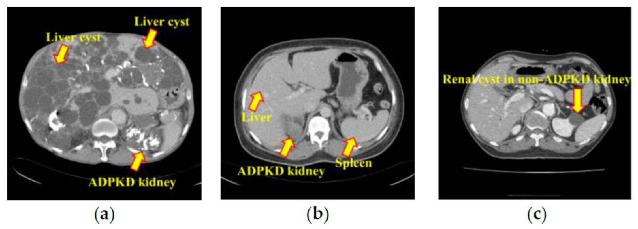 Diagnostics 10 01113 g001
