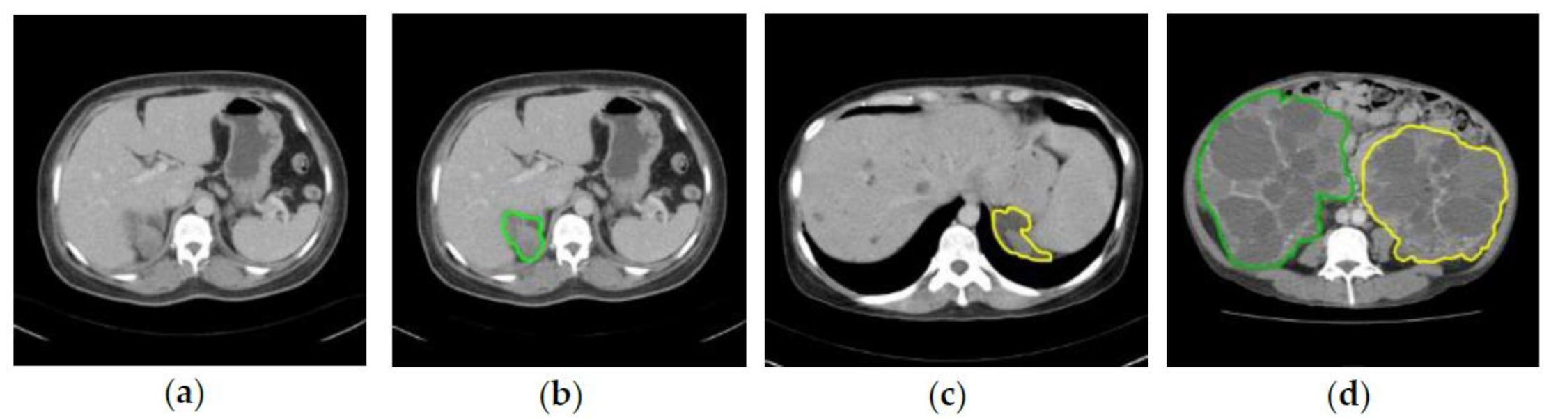 Diagnostics 10 01113 g002