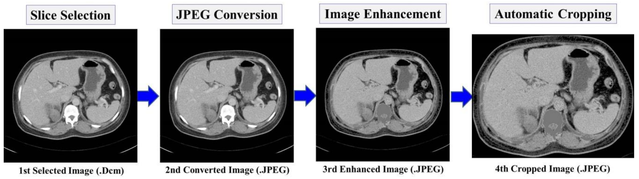 Diagnostics 10 01113 g004