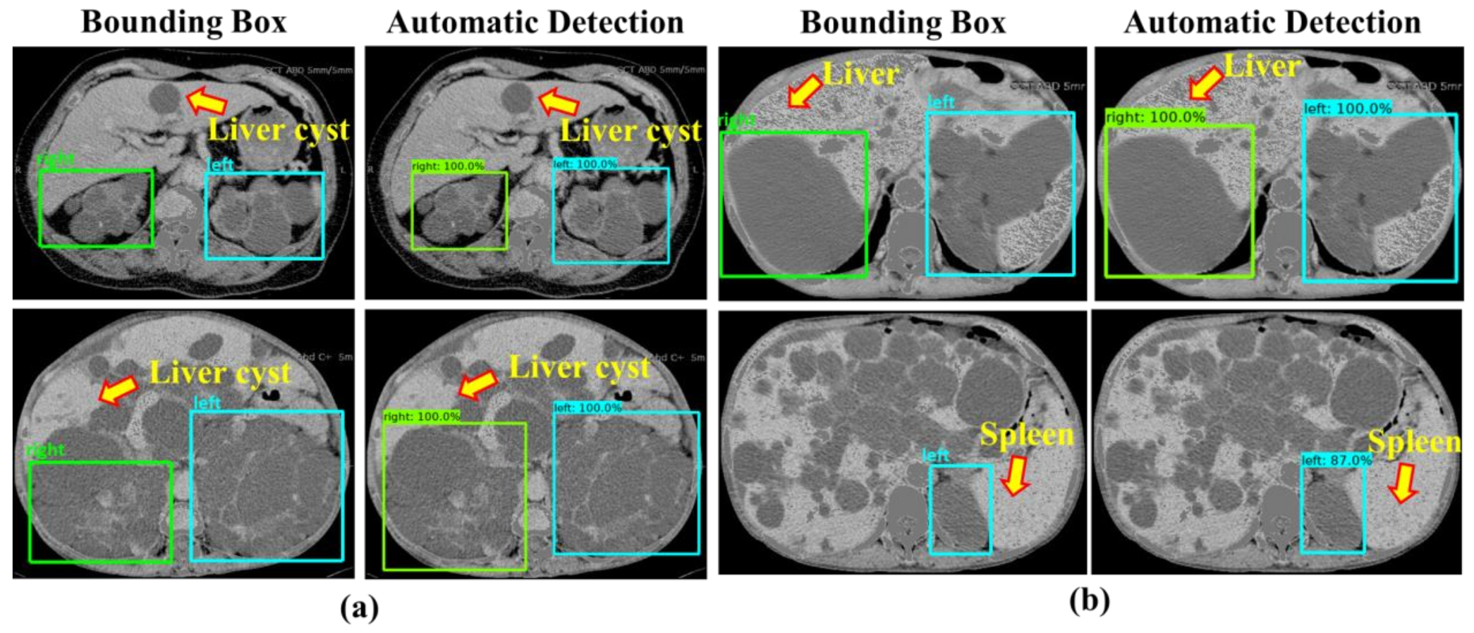 Diagnostics 10 01113 g008