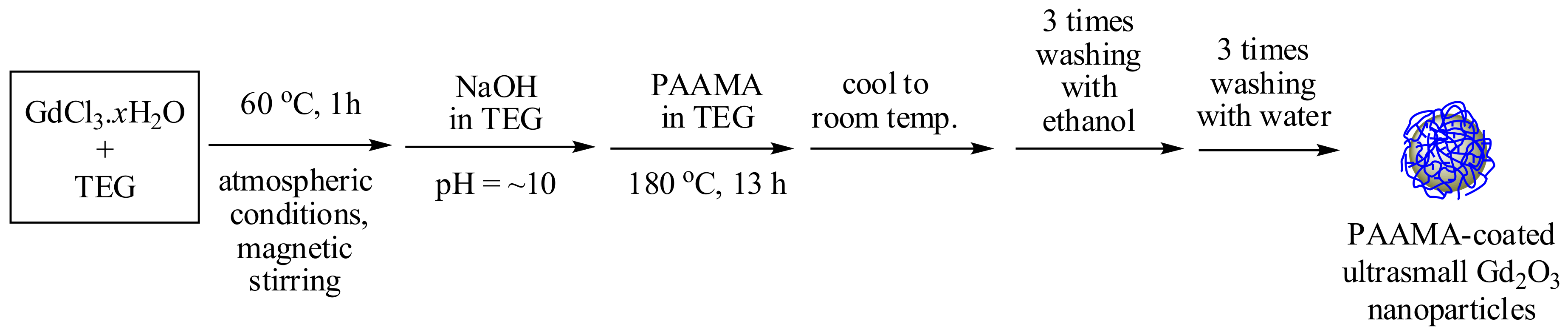 Diagnostics 11 00002 g001