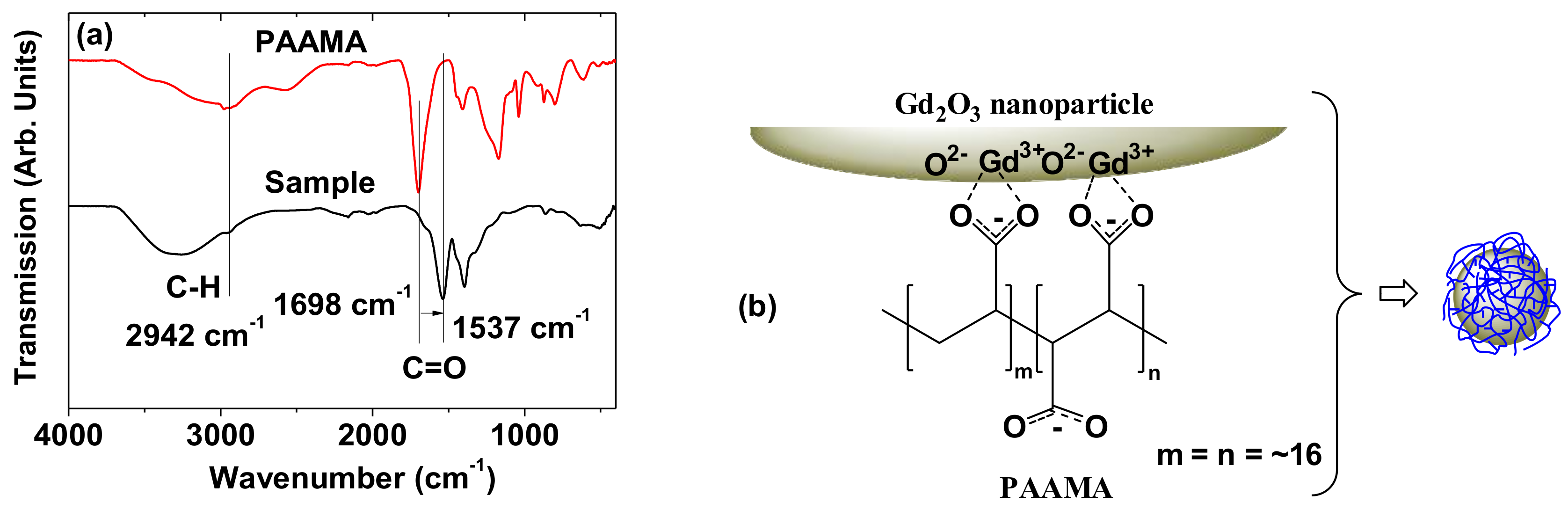 Diagnostics 11 00002 g005
