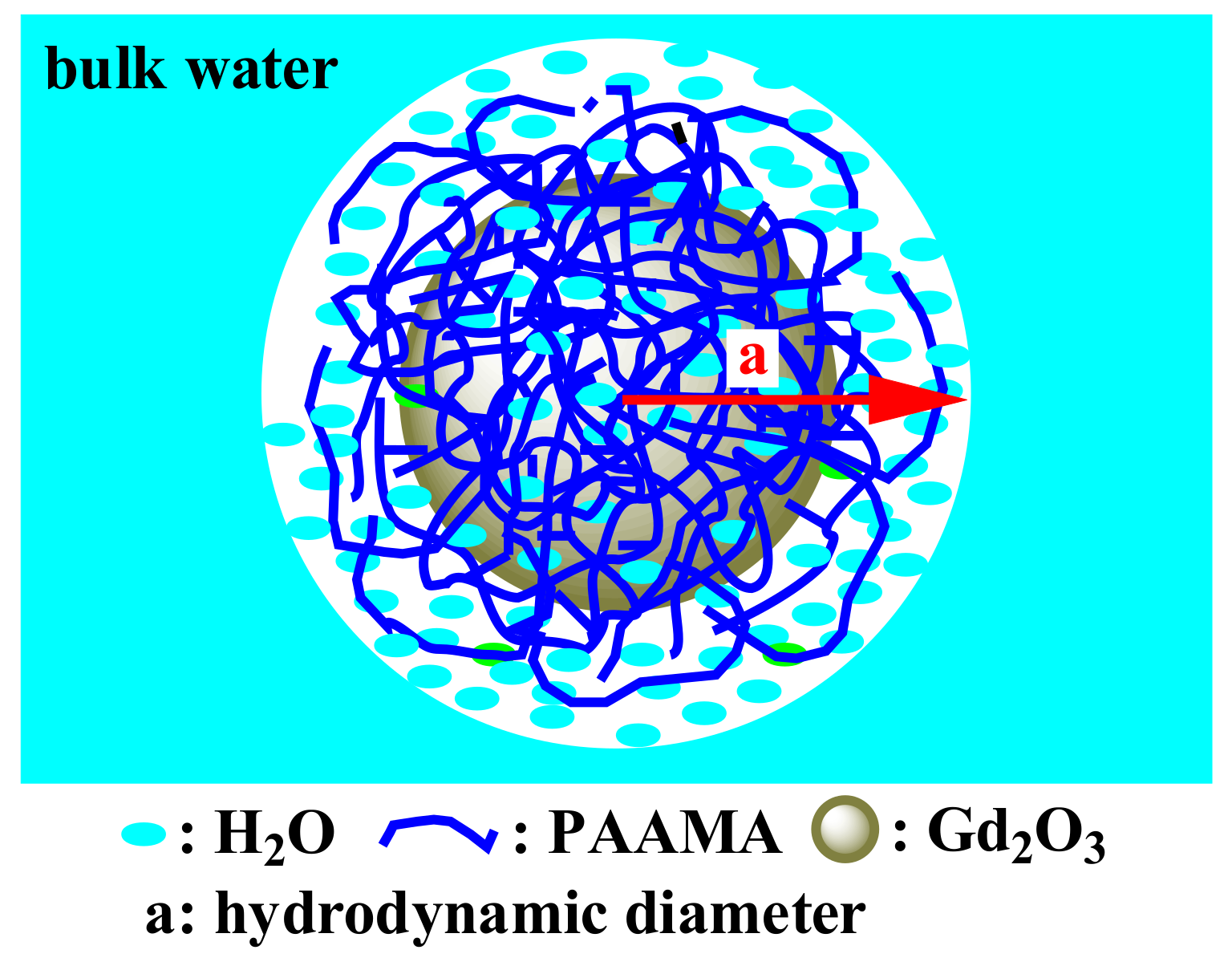 Diagnostics 11 00002 g011
