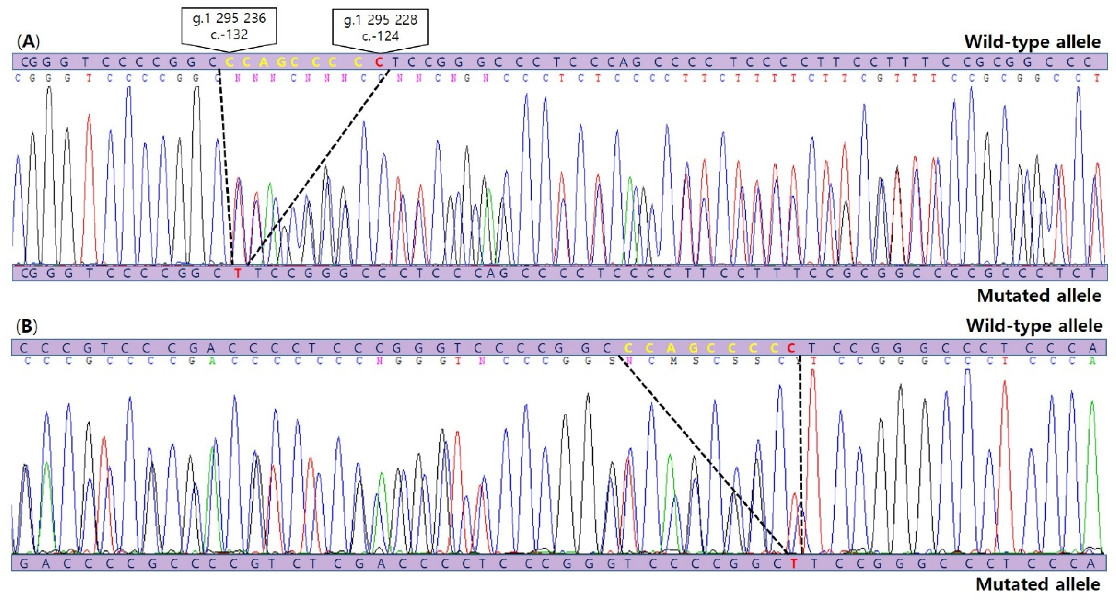 Diagnostics 11 00004 g003