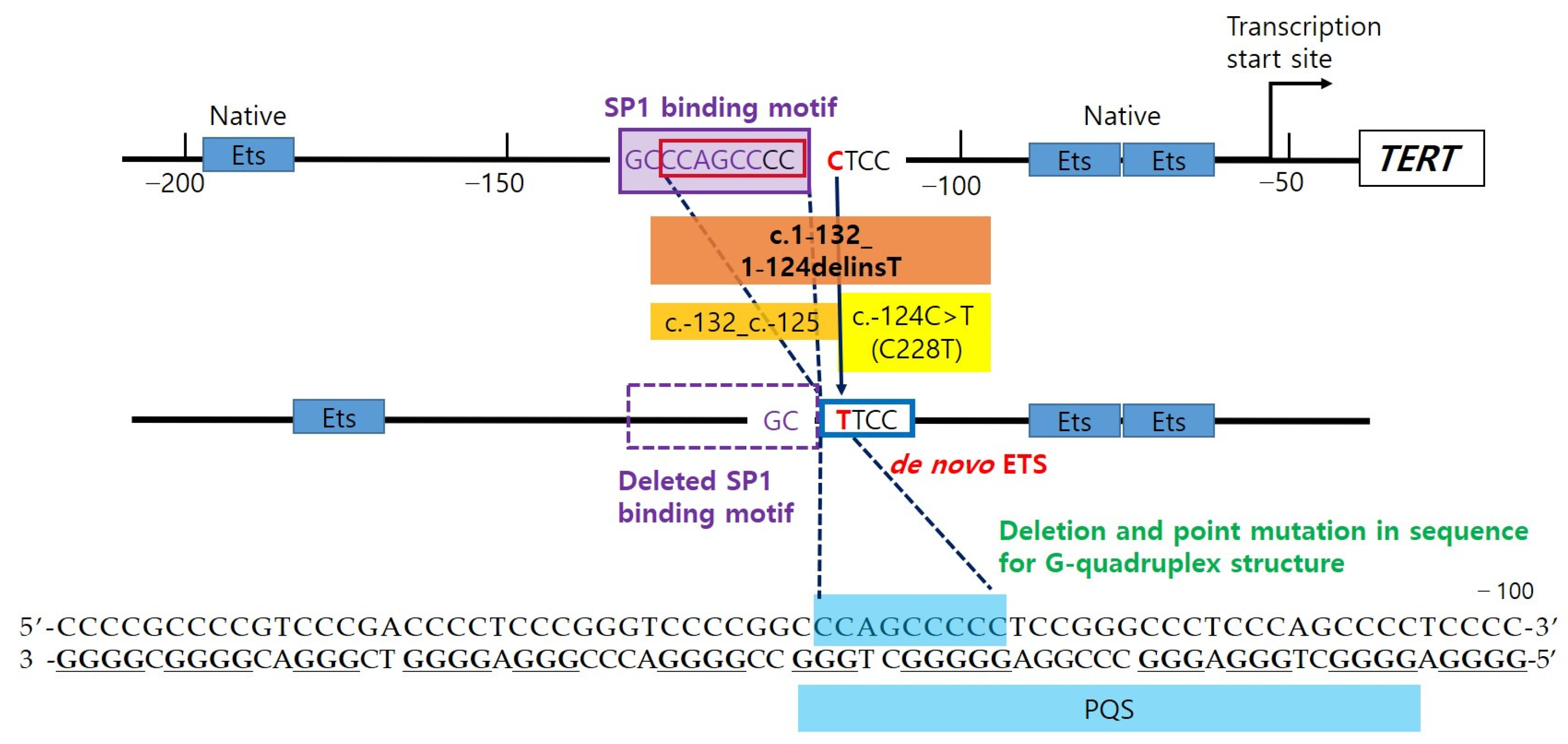 Diagnostics 11 00004 g004