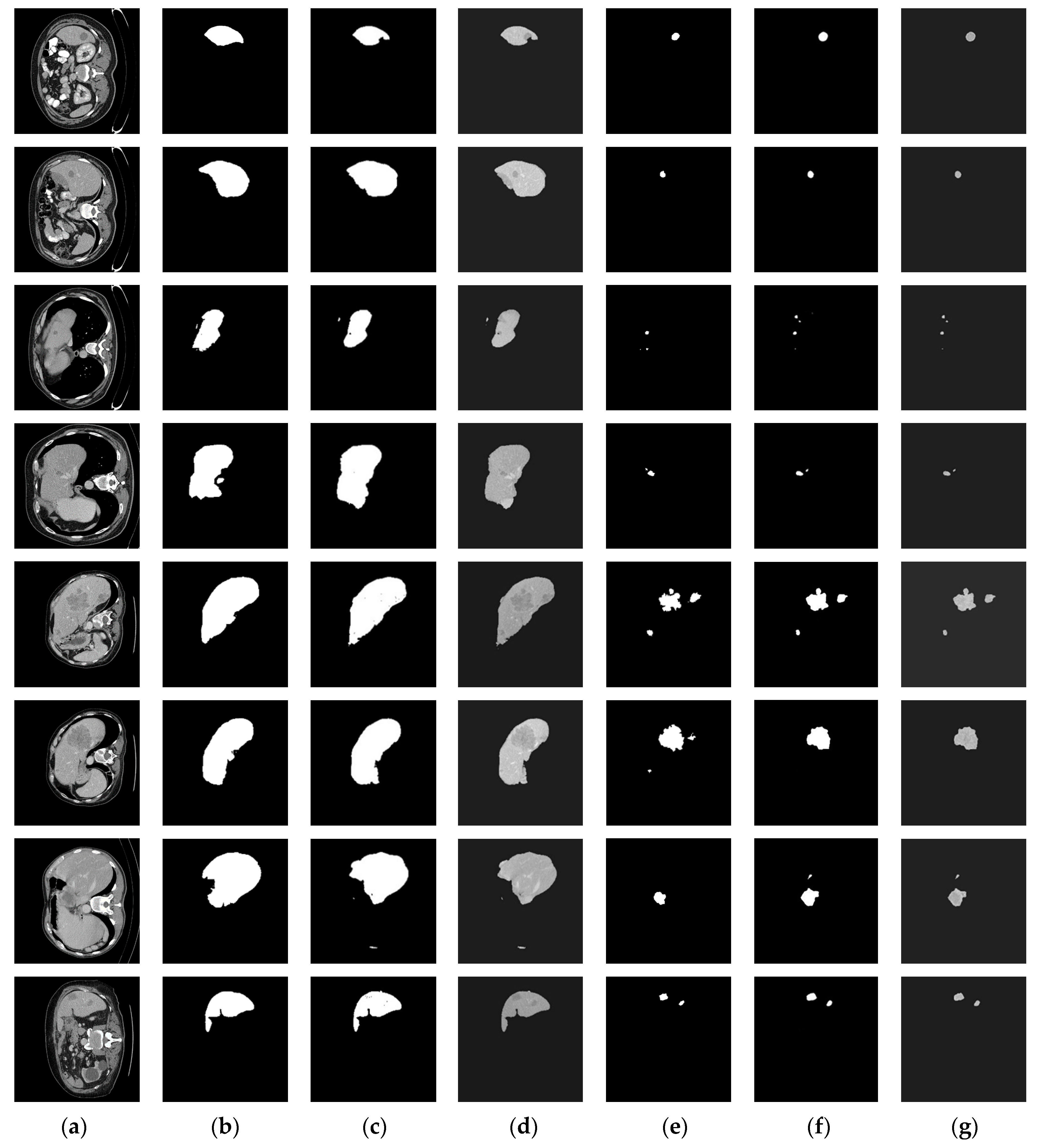 Diagnostics 11 00011 g005
