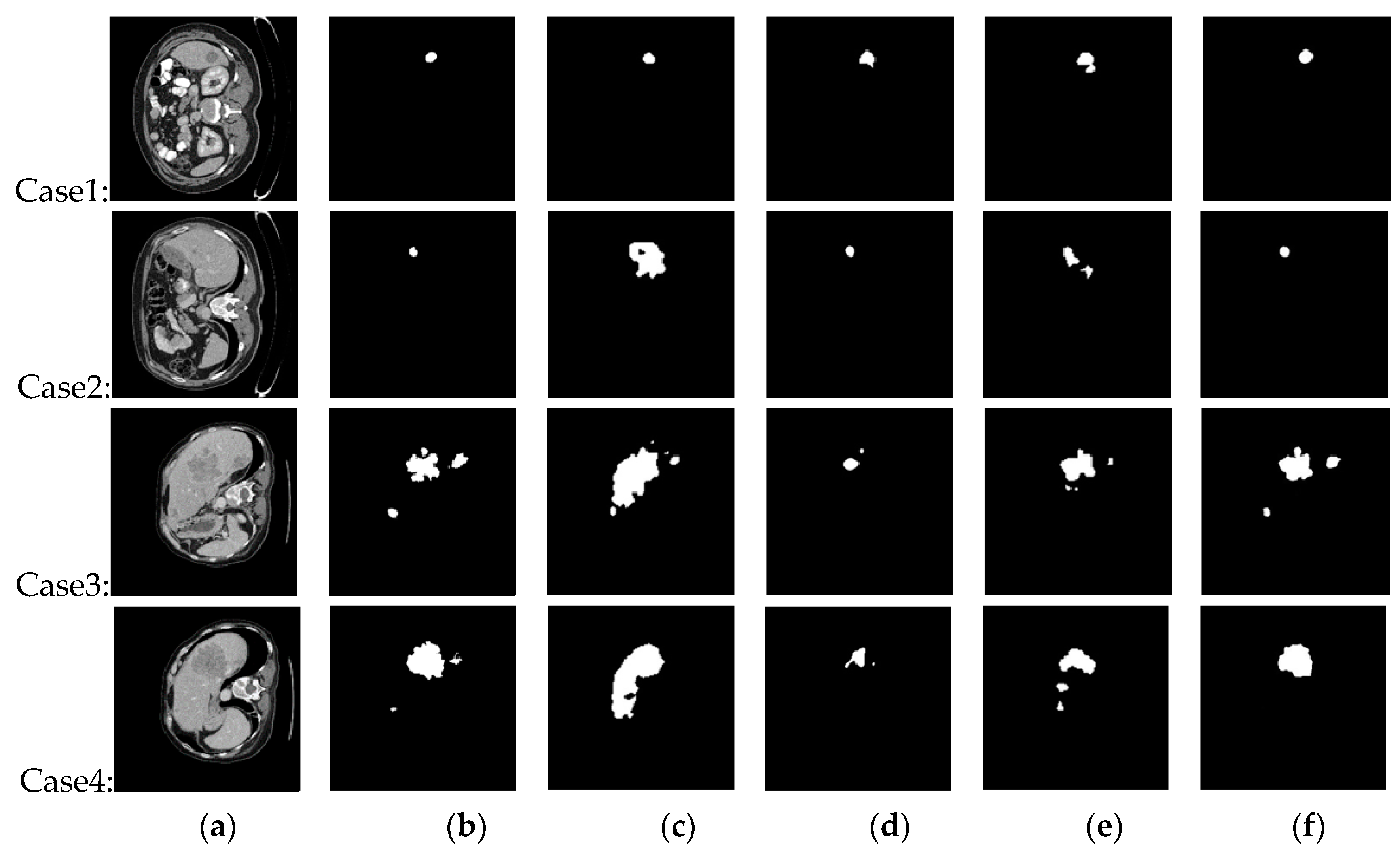 Diagnostics 11 00011 g006