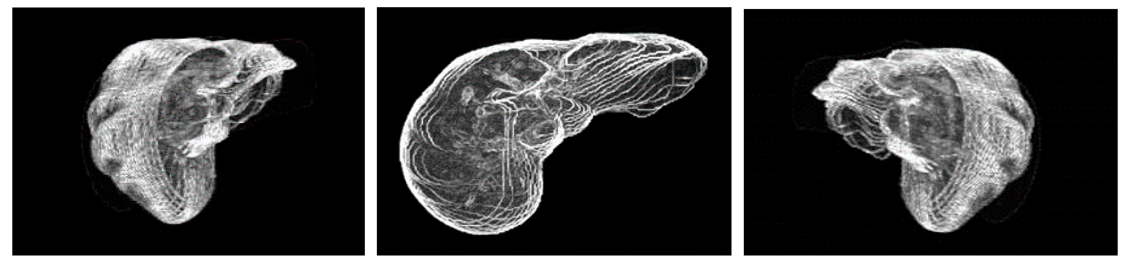 Diagnostics 11 00011 g012