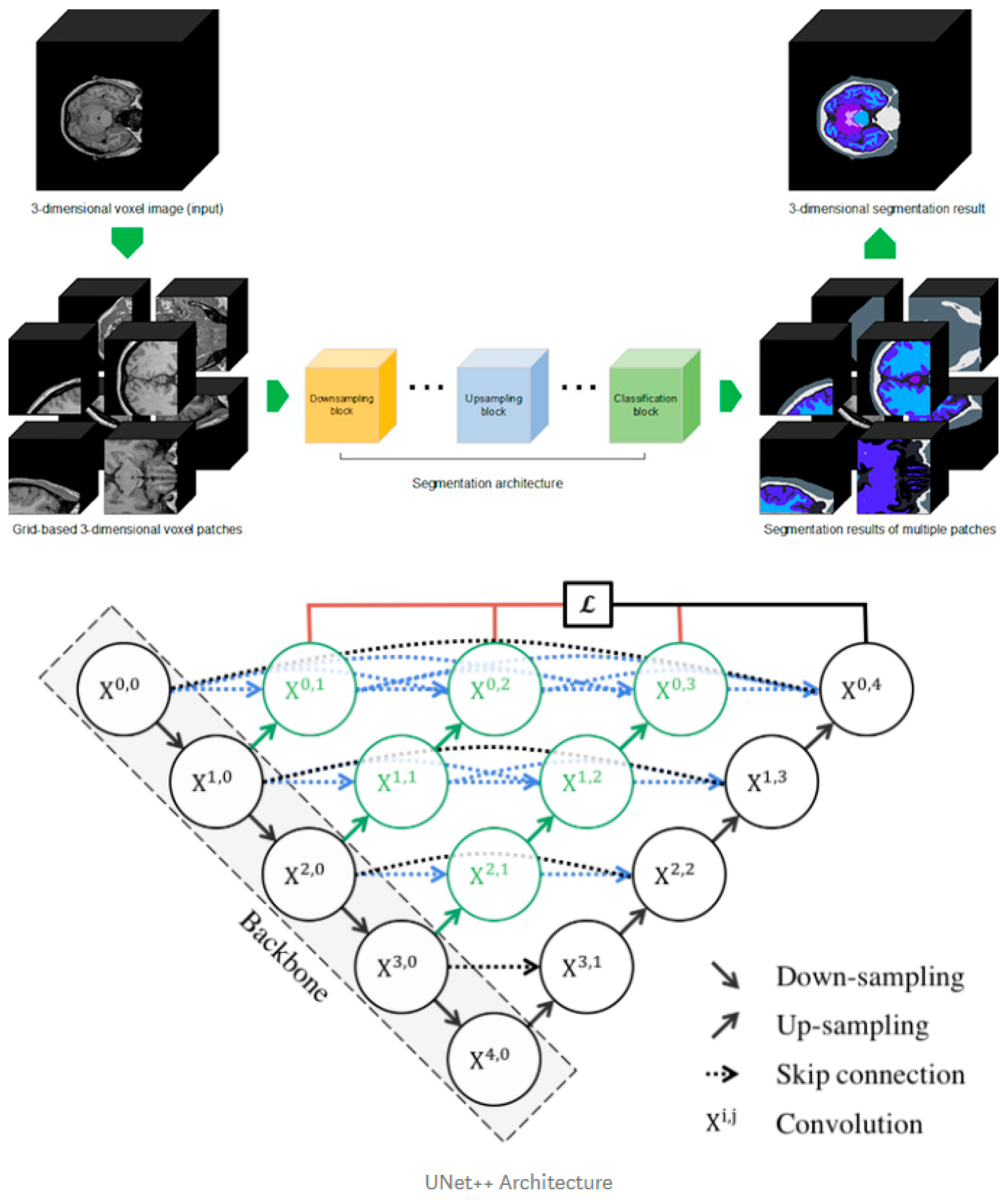Diagnostics 11 00013 g002