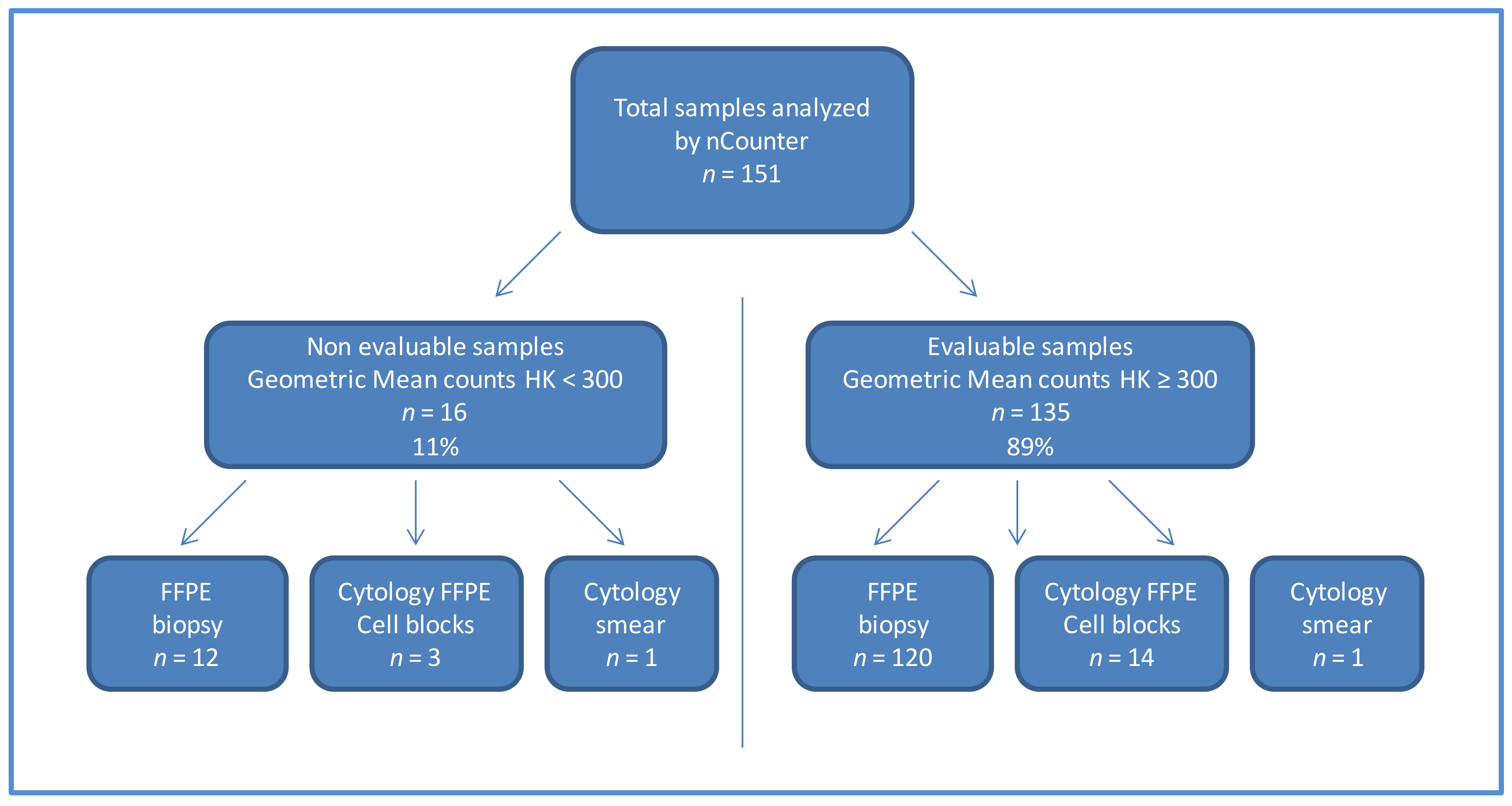 Diagnostics 11 00015 g001