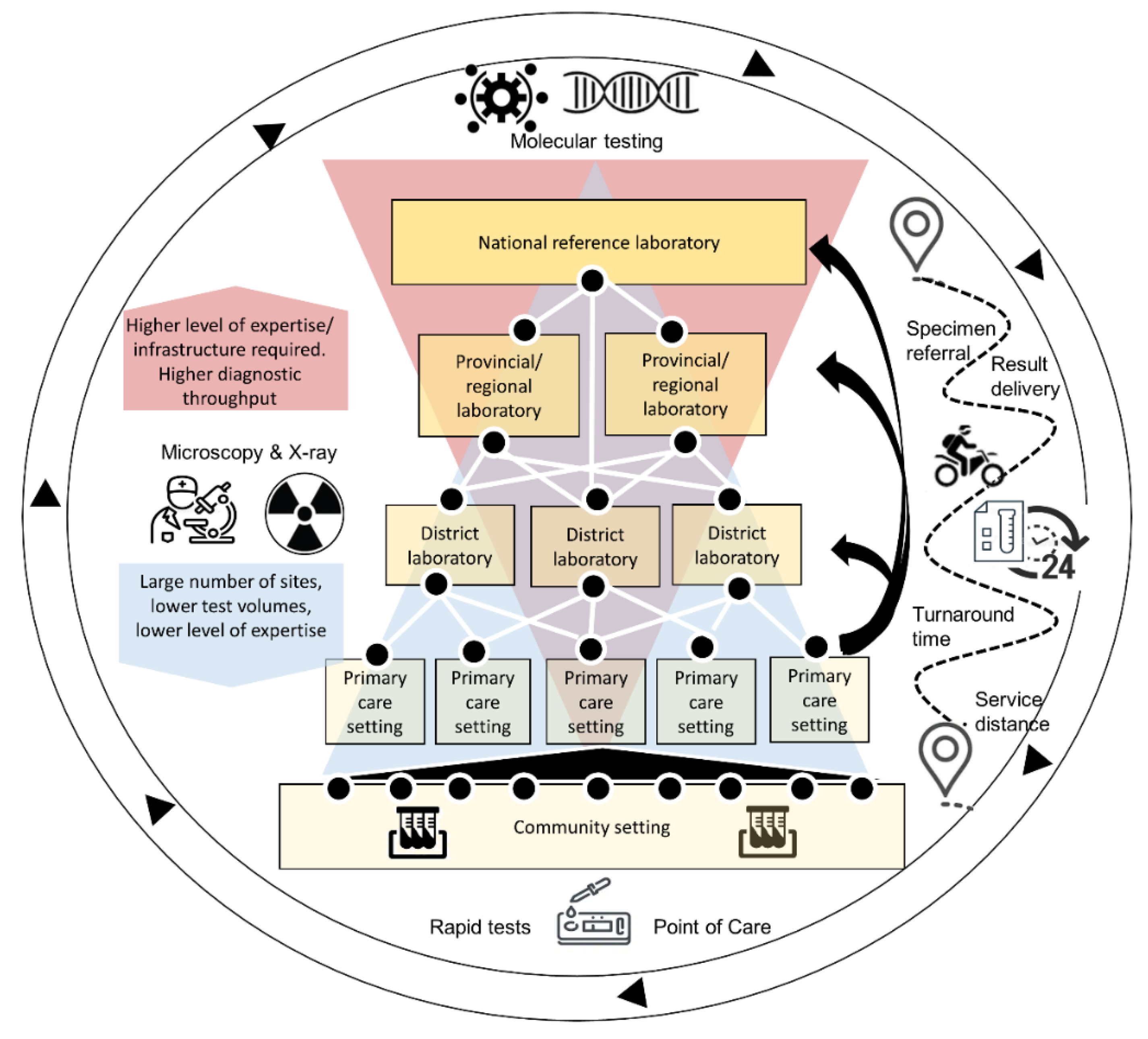 Diagnostics 11 00022 g001