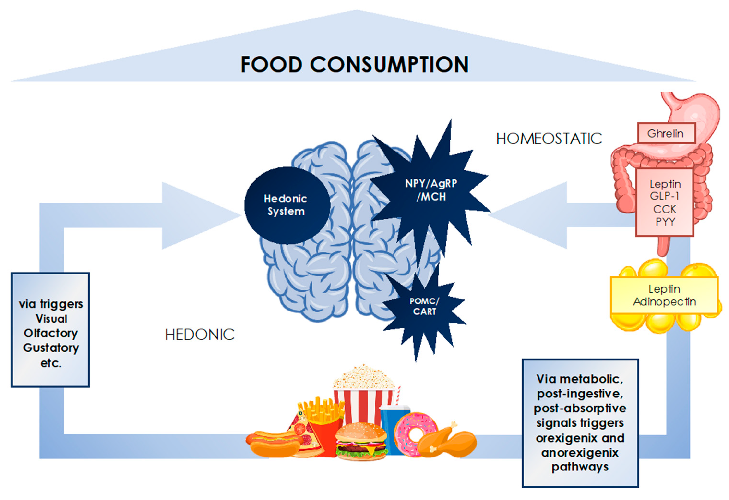 Diagnostics 11 00024 g003